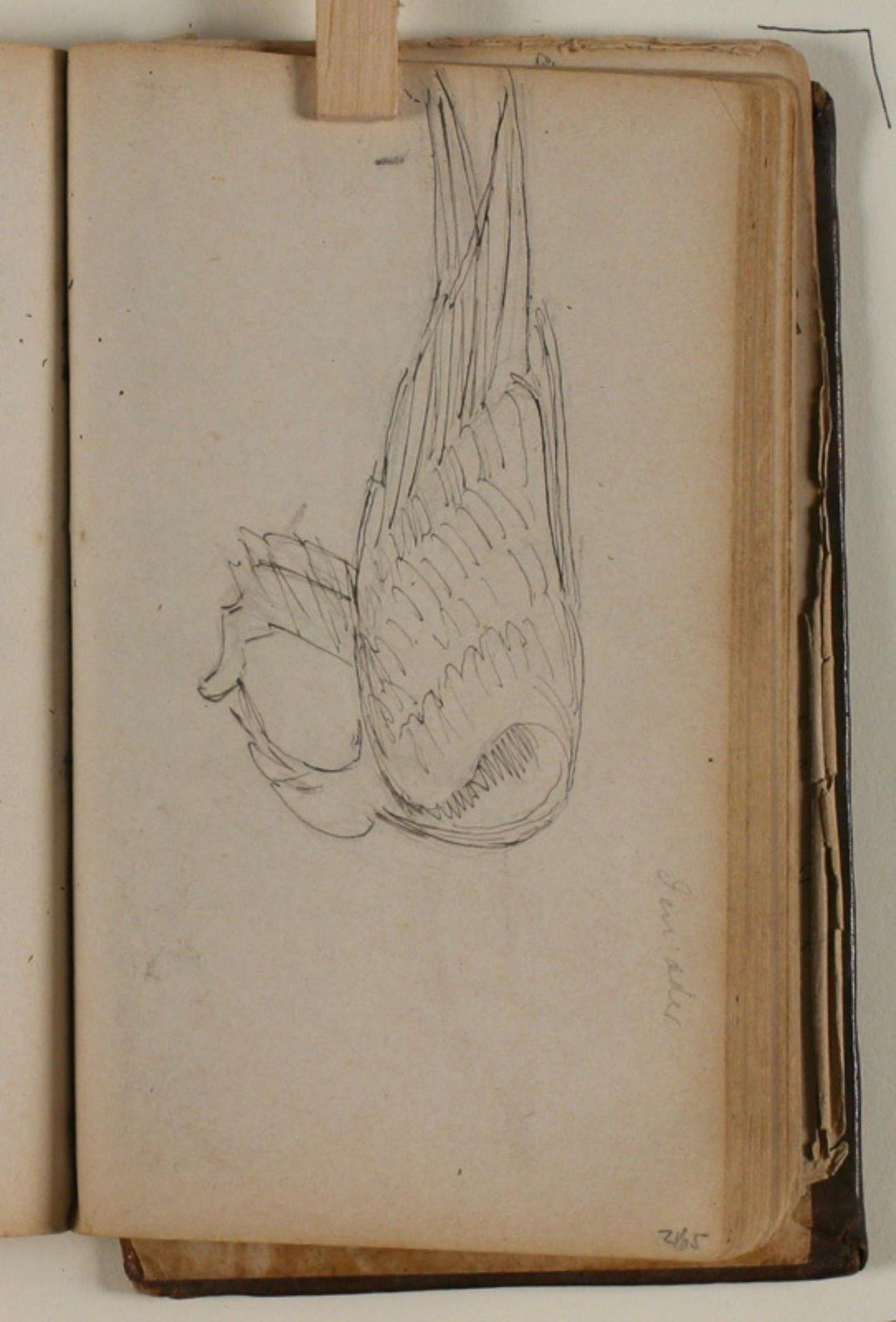 Studie af ørn, der æder by Niels Larsen Stevns