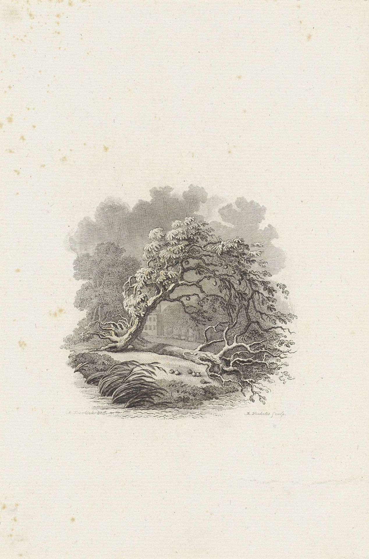 Twee omgevallen bomen bij het water by Reinier Vinkeles