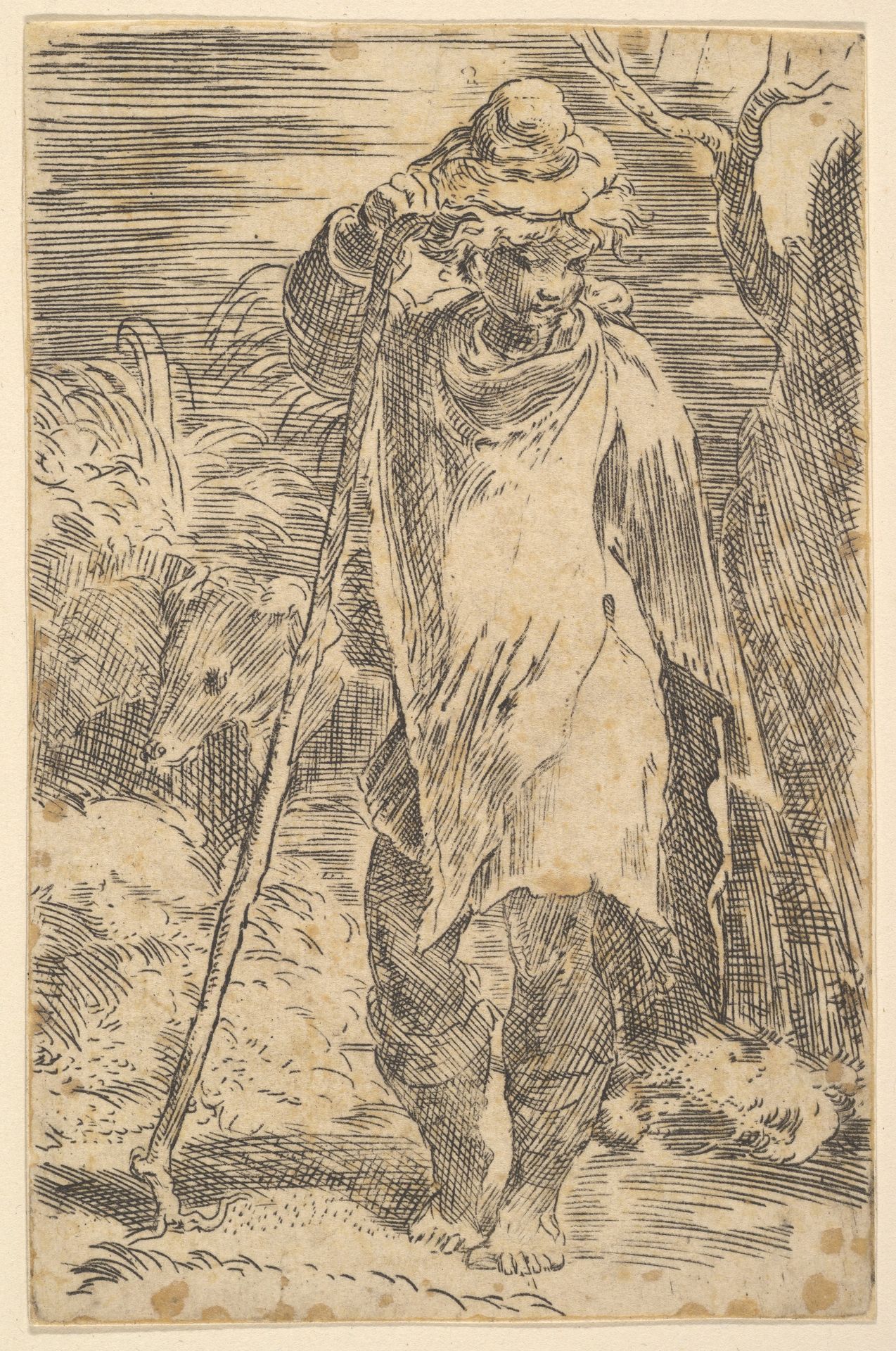 Standing Shepherd by Parmigianino