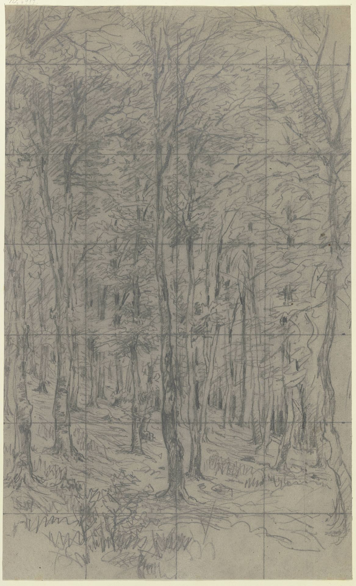 Saplings on a slope by Jakob Maurer