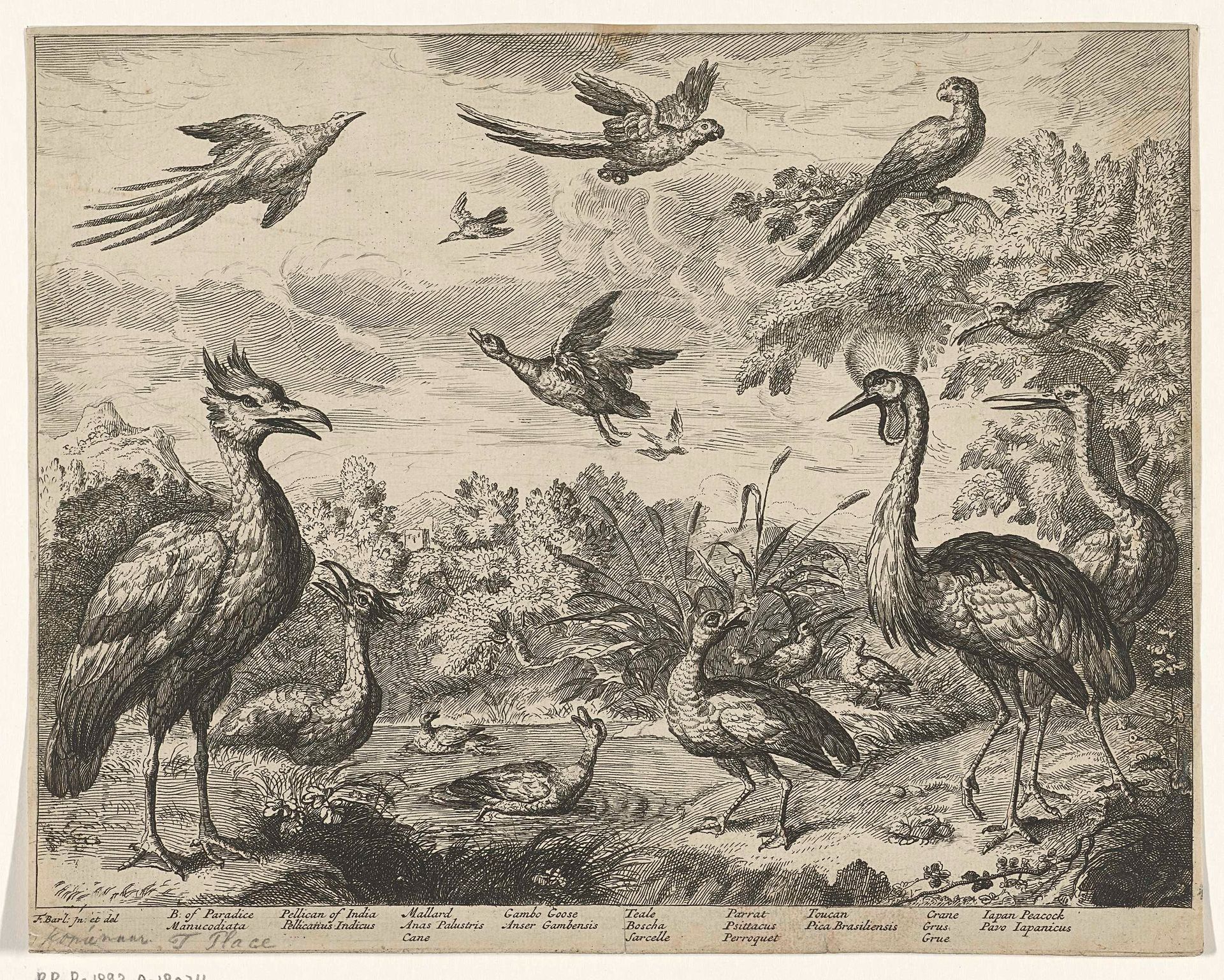 Verschillende vogels in een landschap by Jan (I) Griffier