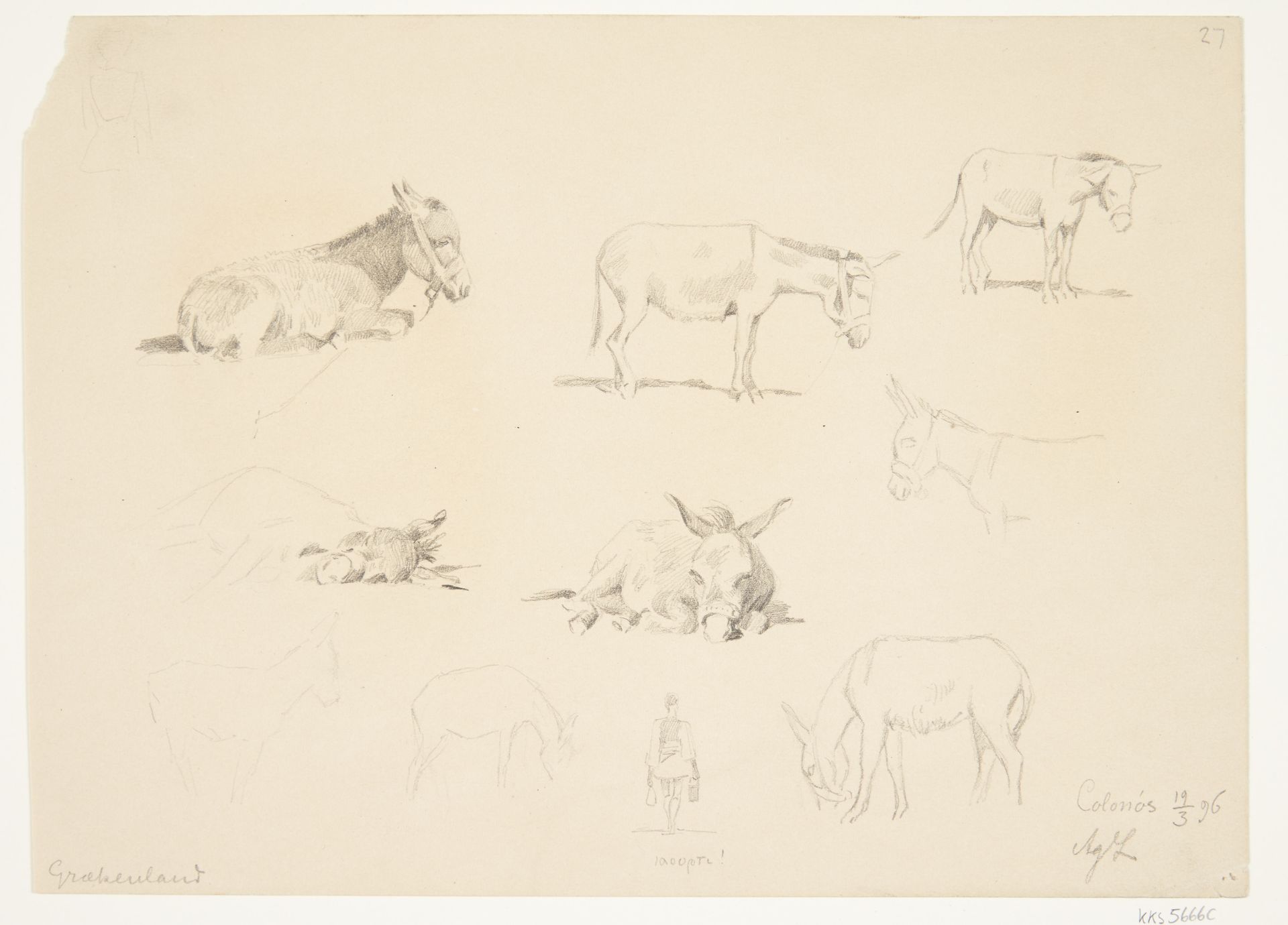 Studieblad med dyr. by Agnes Lunn