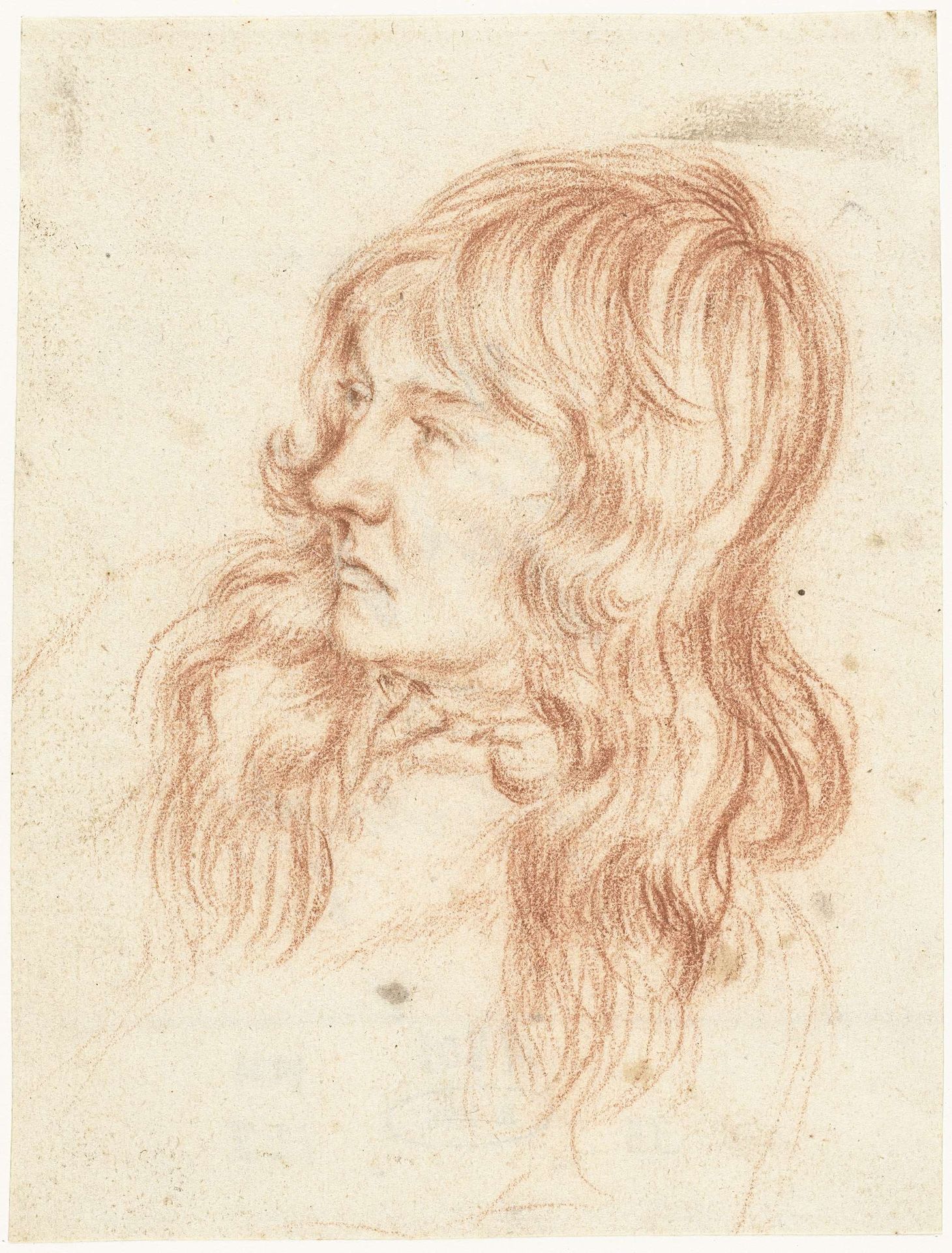 Hoofd van een jongeman, naar links by Gerard ter (II) Borch