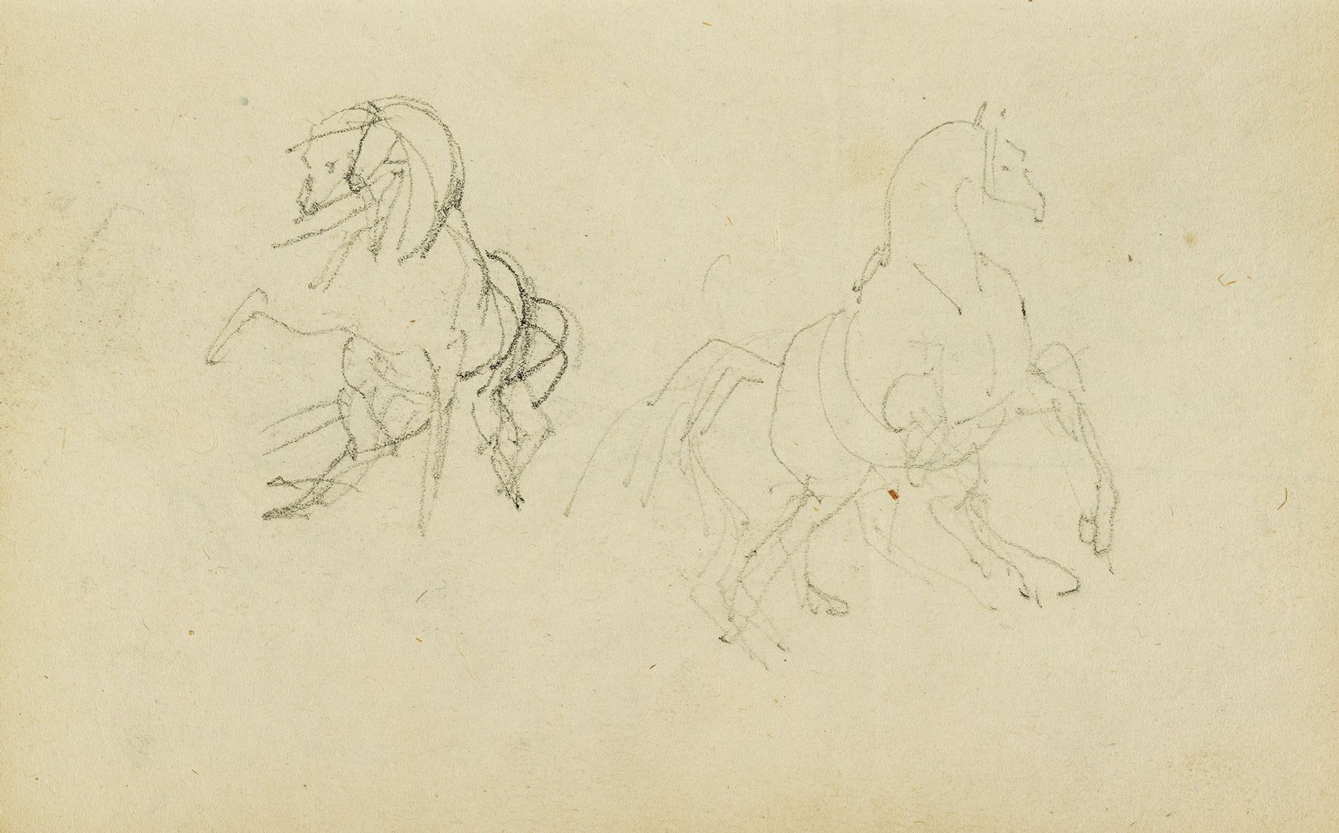 Two studies of a rearing horse by Théodore Géricault