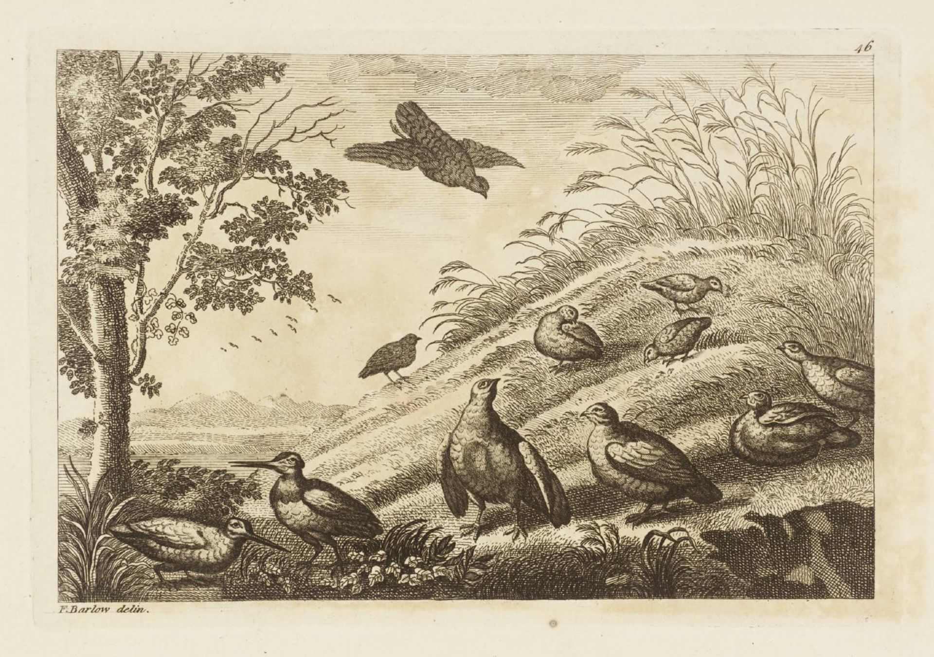 [title not known] by Francis Barlow
