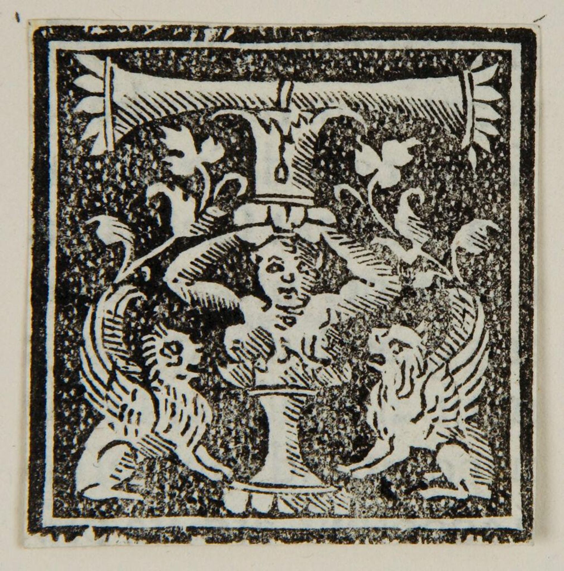 Initial T by Anonymous