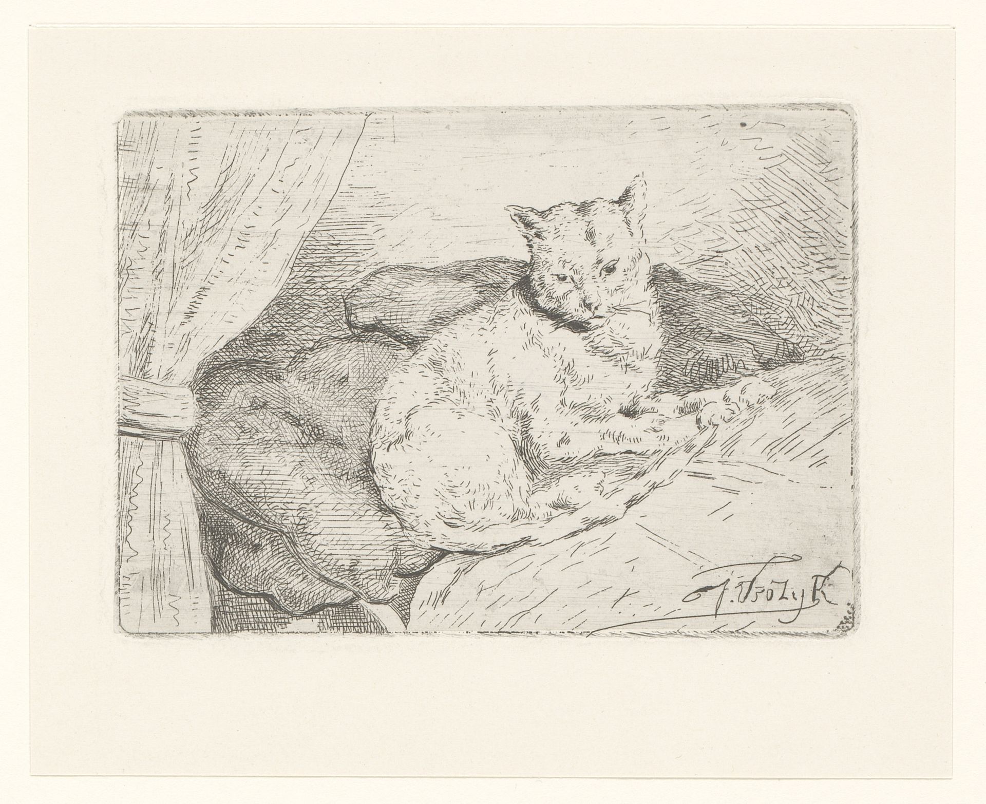 Kat op bed by Jan Vrolijk