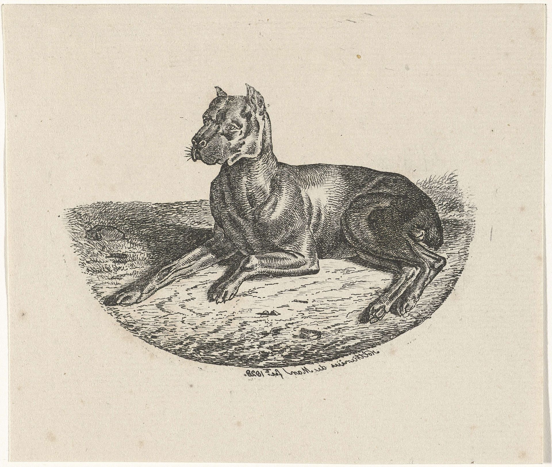 Liggende hond by Anthonie Willem Hendrik Nolthenius de Man