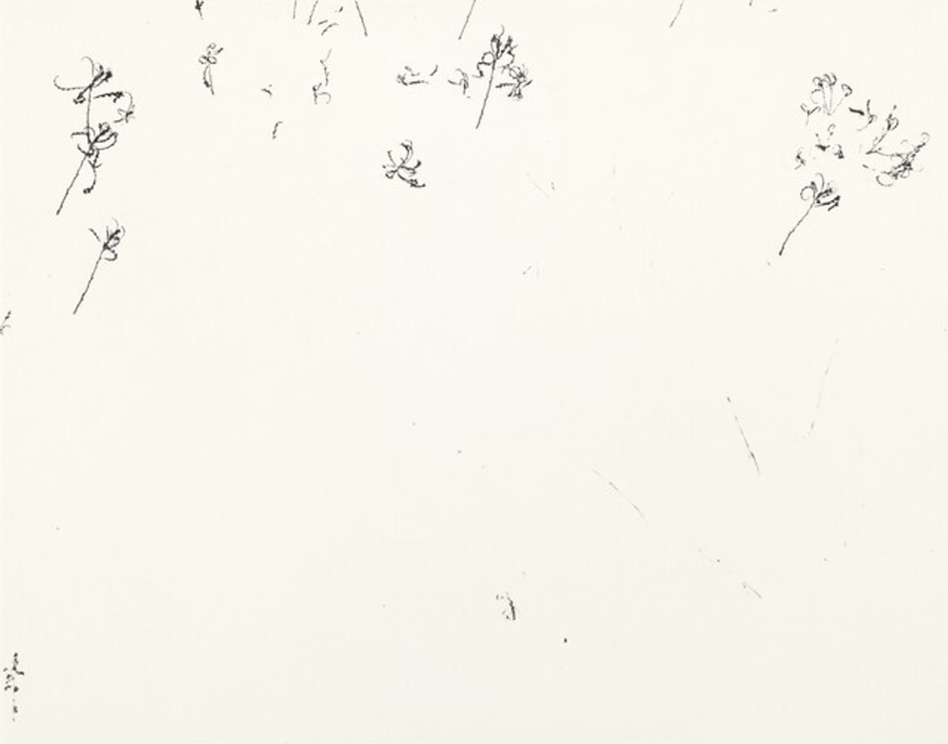 Weeds in Snow, Rhode Island by Harry Callahan