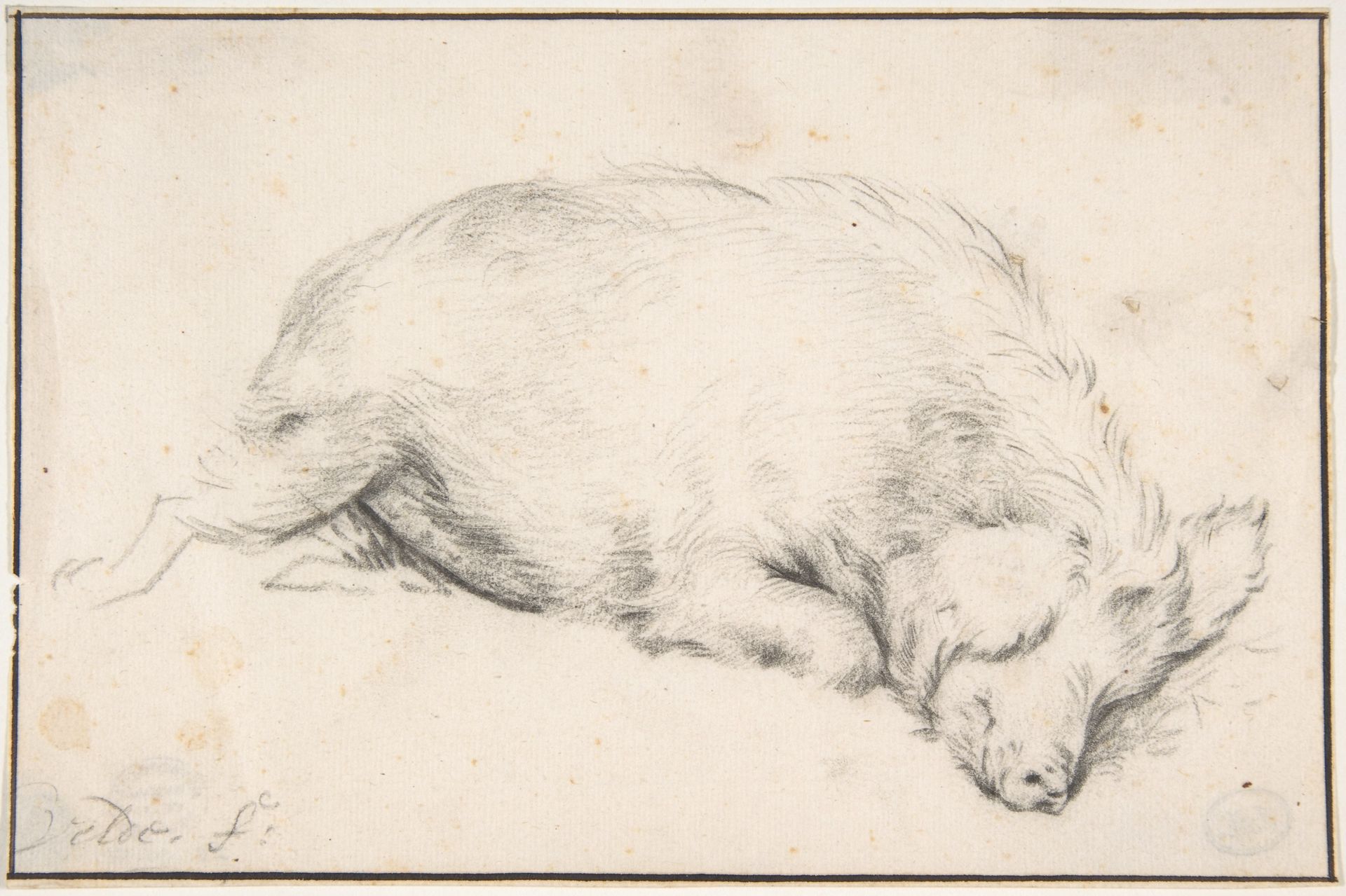 A Sleeping Swine by Adriaen van de Velde
