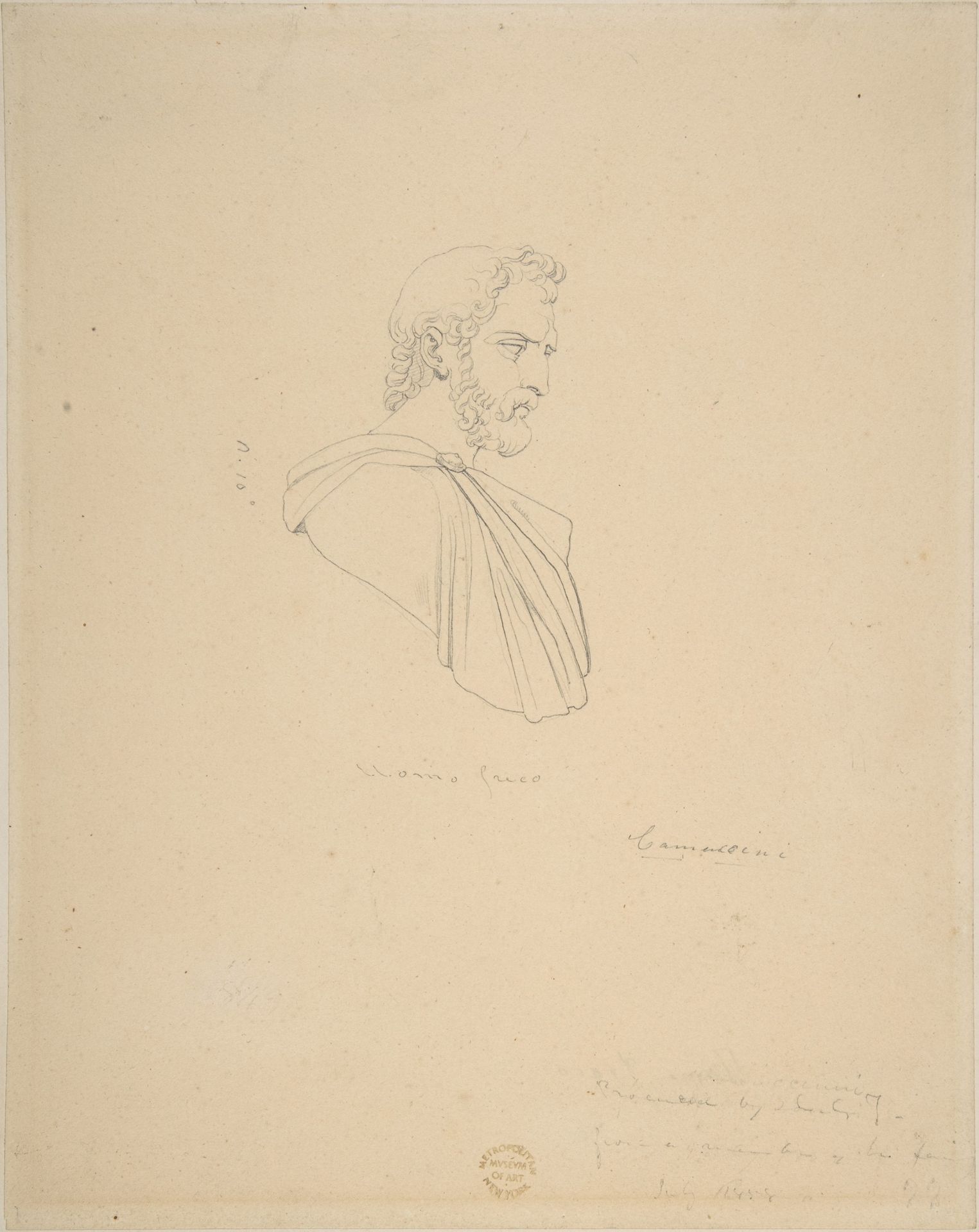 Classical Bust of a Bearded Male Seen in Profile by Vincenzo Camuccini