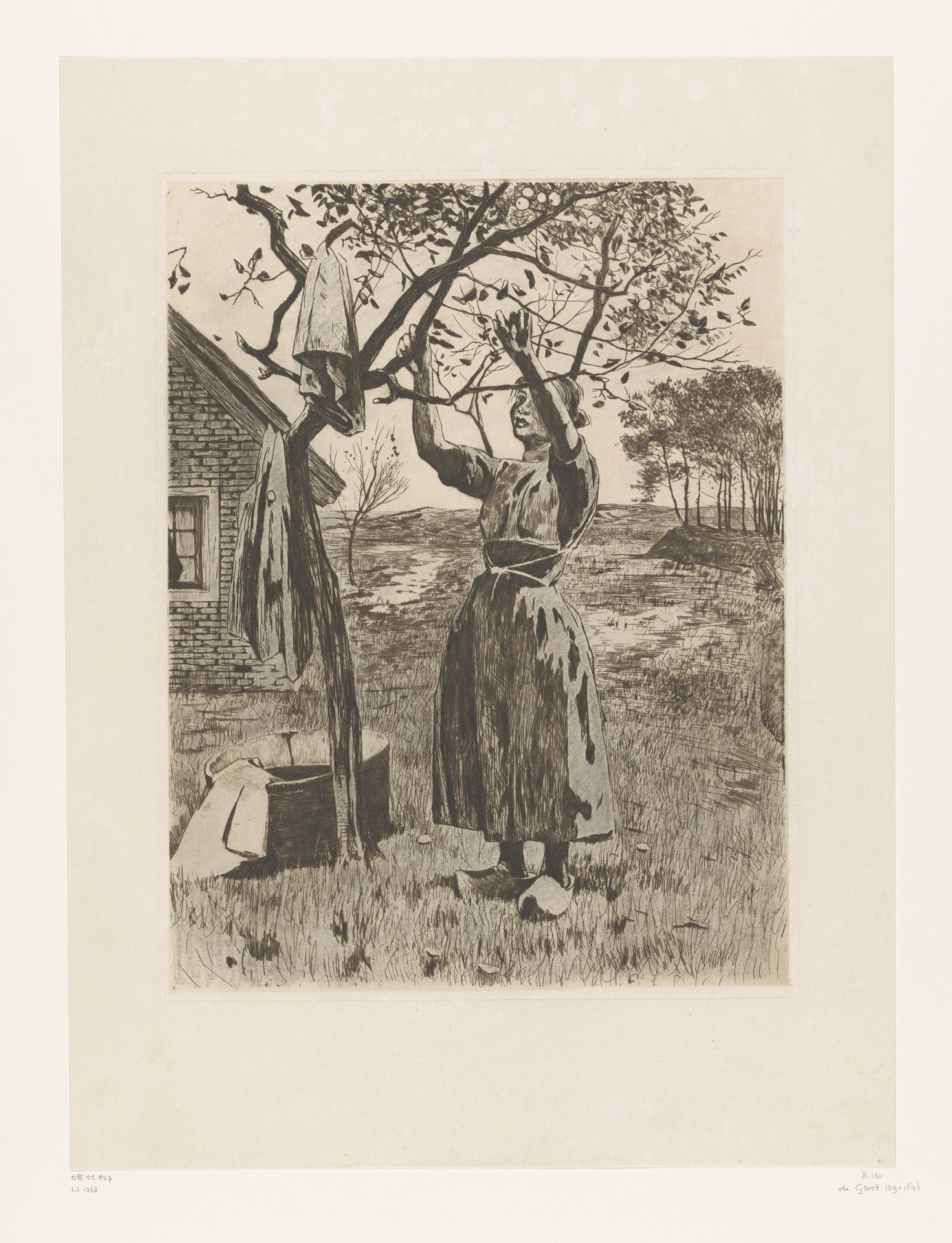 Vrouw reikt omhoog naar de takken van een appelboom by Willem Witsen