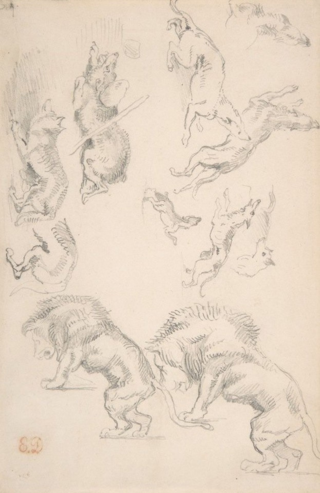 Studies of Animals by Eugène Delacroix
