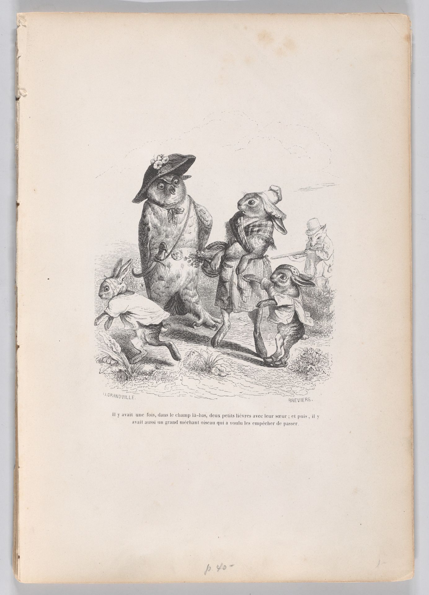 "There was once, in the camp there, two little hares with their sister, and then there was also a big bad bird who wanted to stop them from passing" from Scenes from the Private and Public Life of Animals by J. J. Grandville