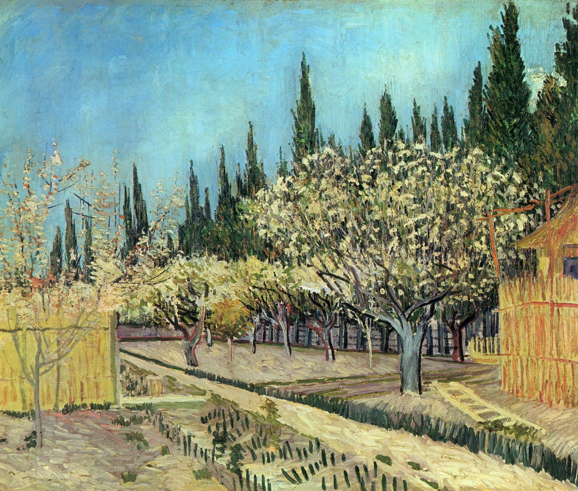 Orchard in Blossom, Bordered by Cypresses by Vincent van Gogh