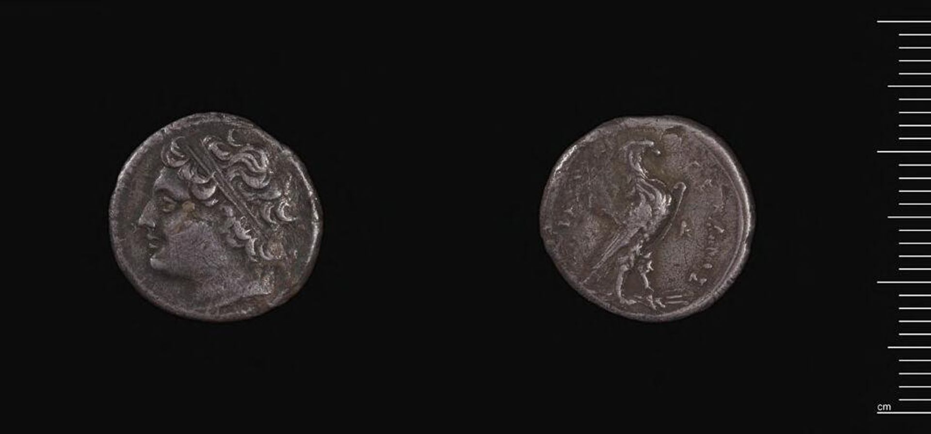 Four Litrae of Hieron II,Tyrant of Syracuse, by Issued by Hieron II
