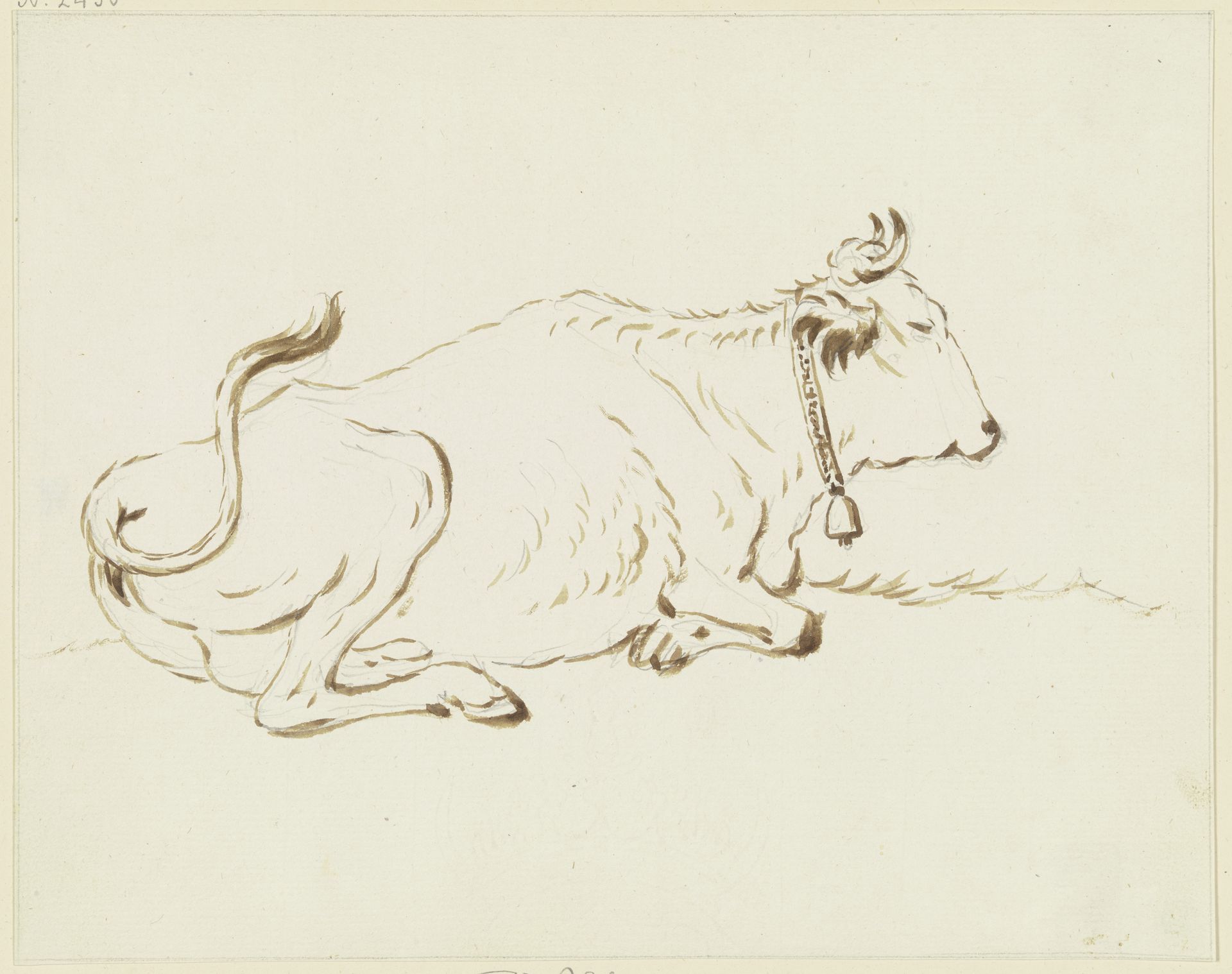 Liegendes Rind nach rechts, eine Glocke um den Hals gebunden by Friedrich Wilhelm Hirt