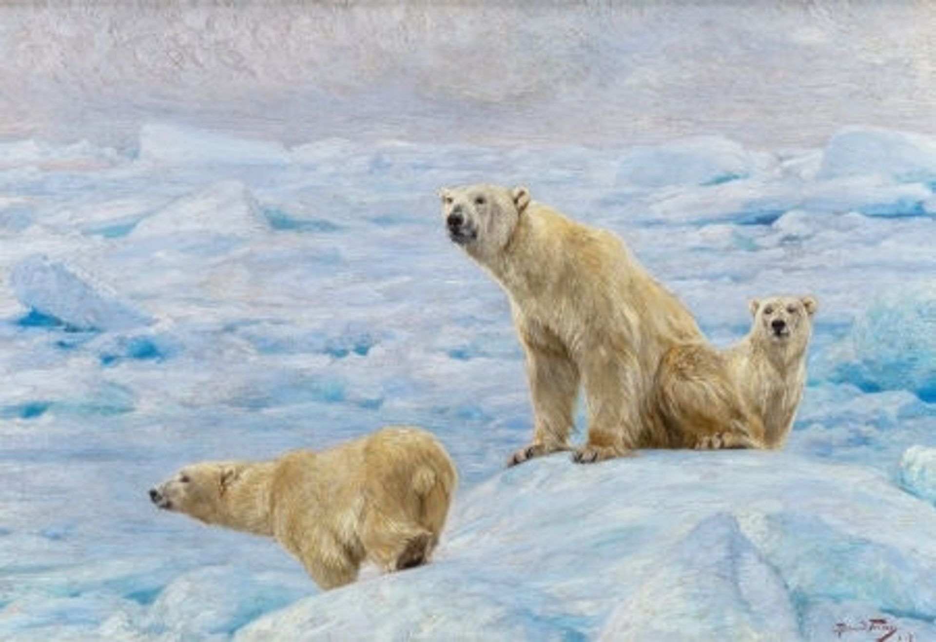 Three Polar Bears by Richard Friese