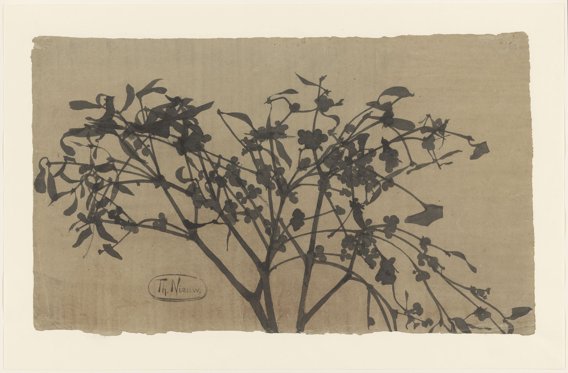 Tak met bloesem by Theo Nieuwenhuis