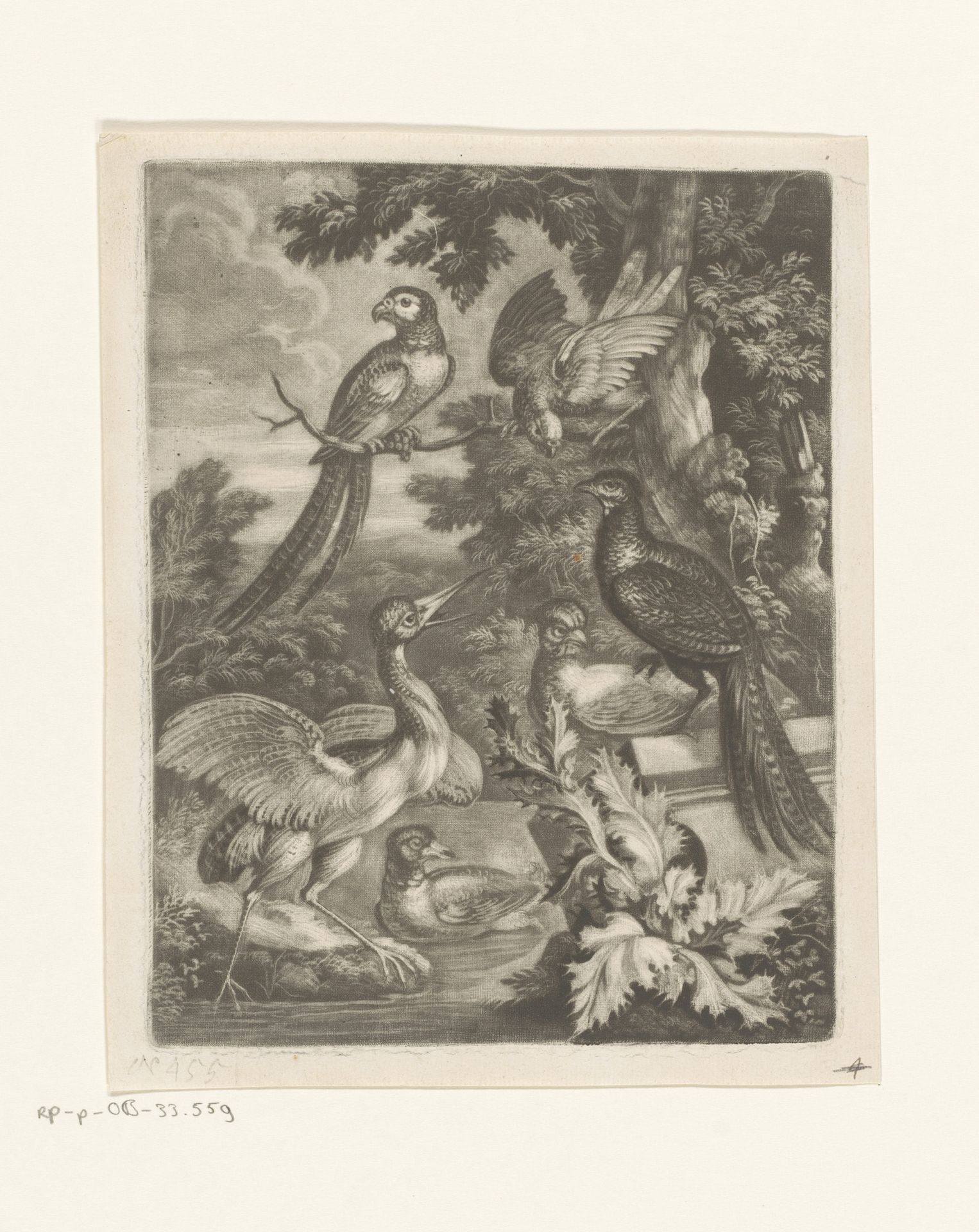 Reiger, eend, pauw, papegaai, ara en kip in een landschap by Robert Robinson