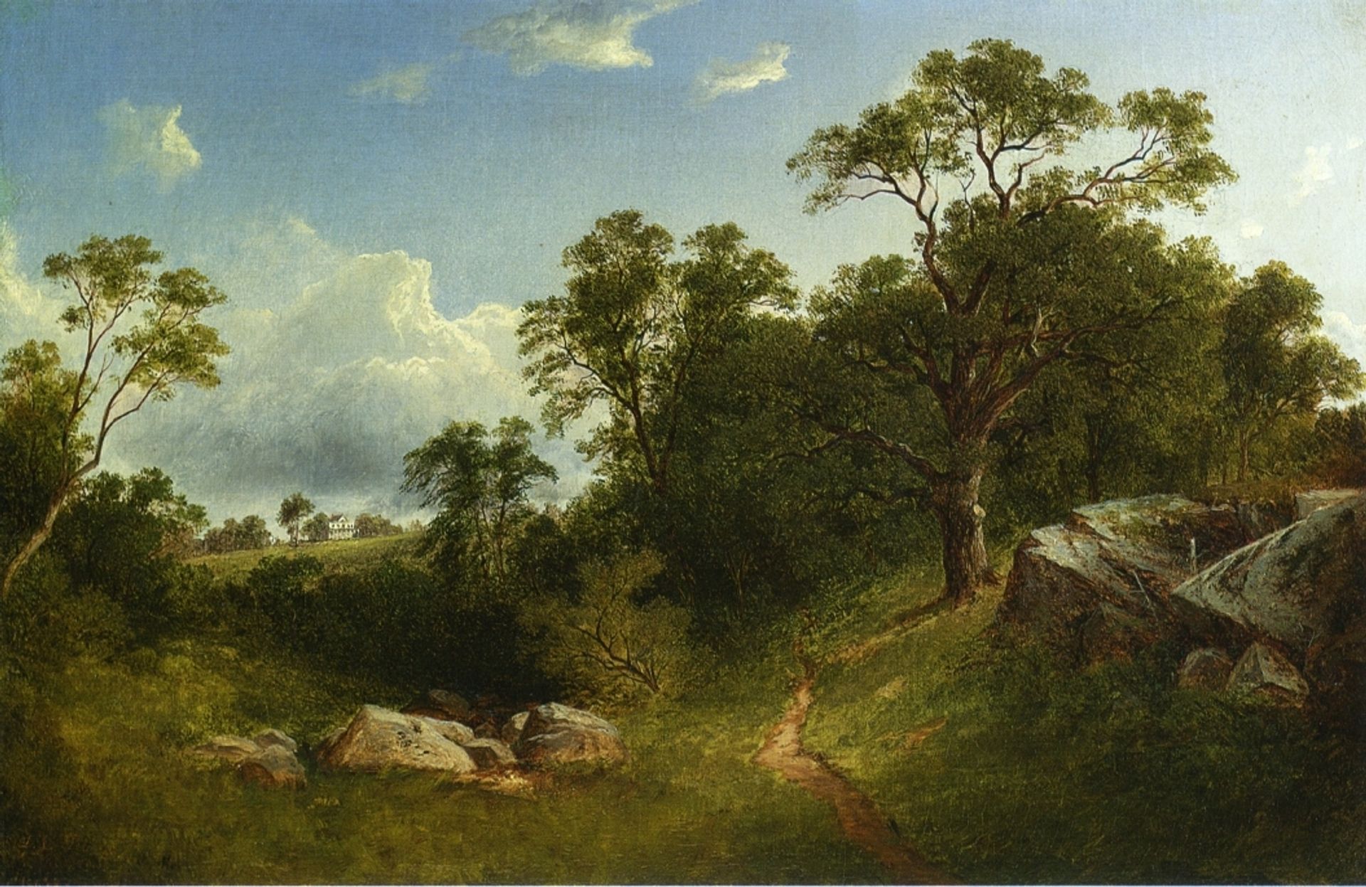 Landscape by David Johnson