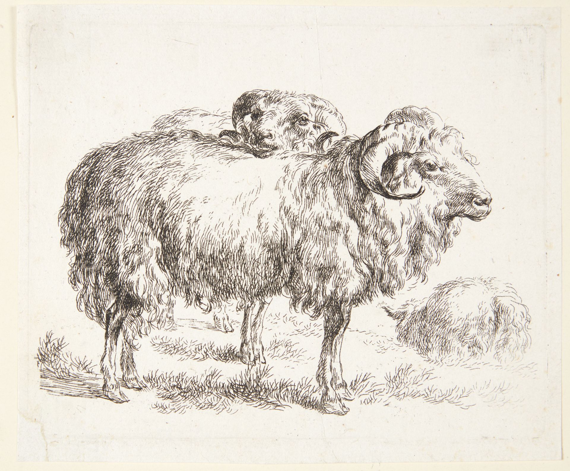 To væddere by Nicolaes Berchem