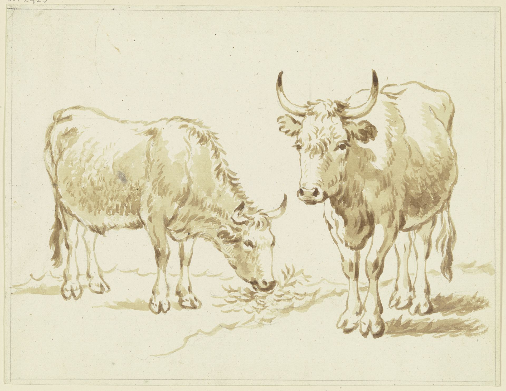 Zwei Rinder, das linke fressend by Friedrich Wilhelm Hirt
