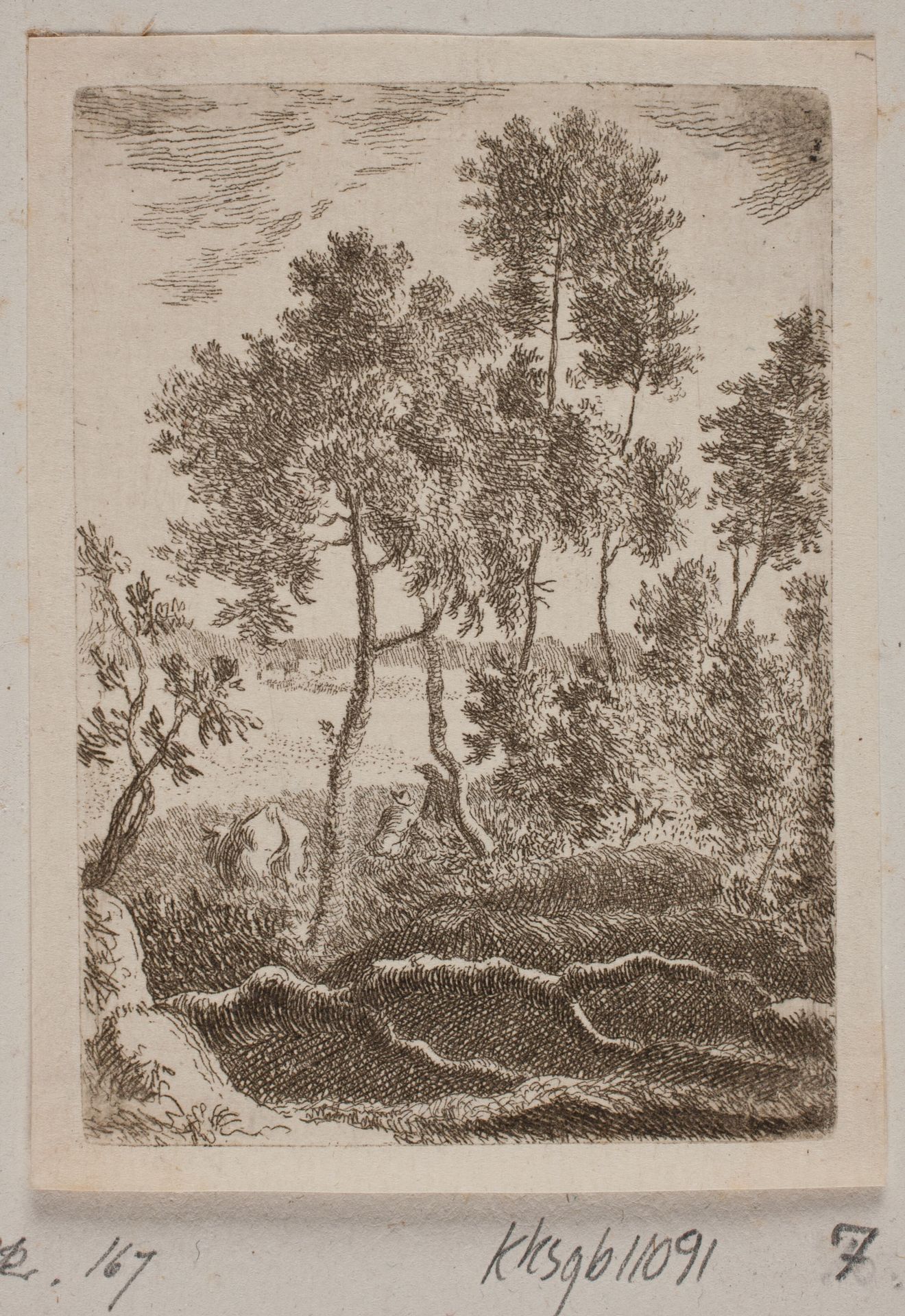 Skovparti by B. Flügge