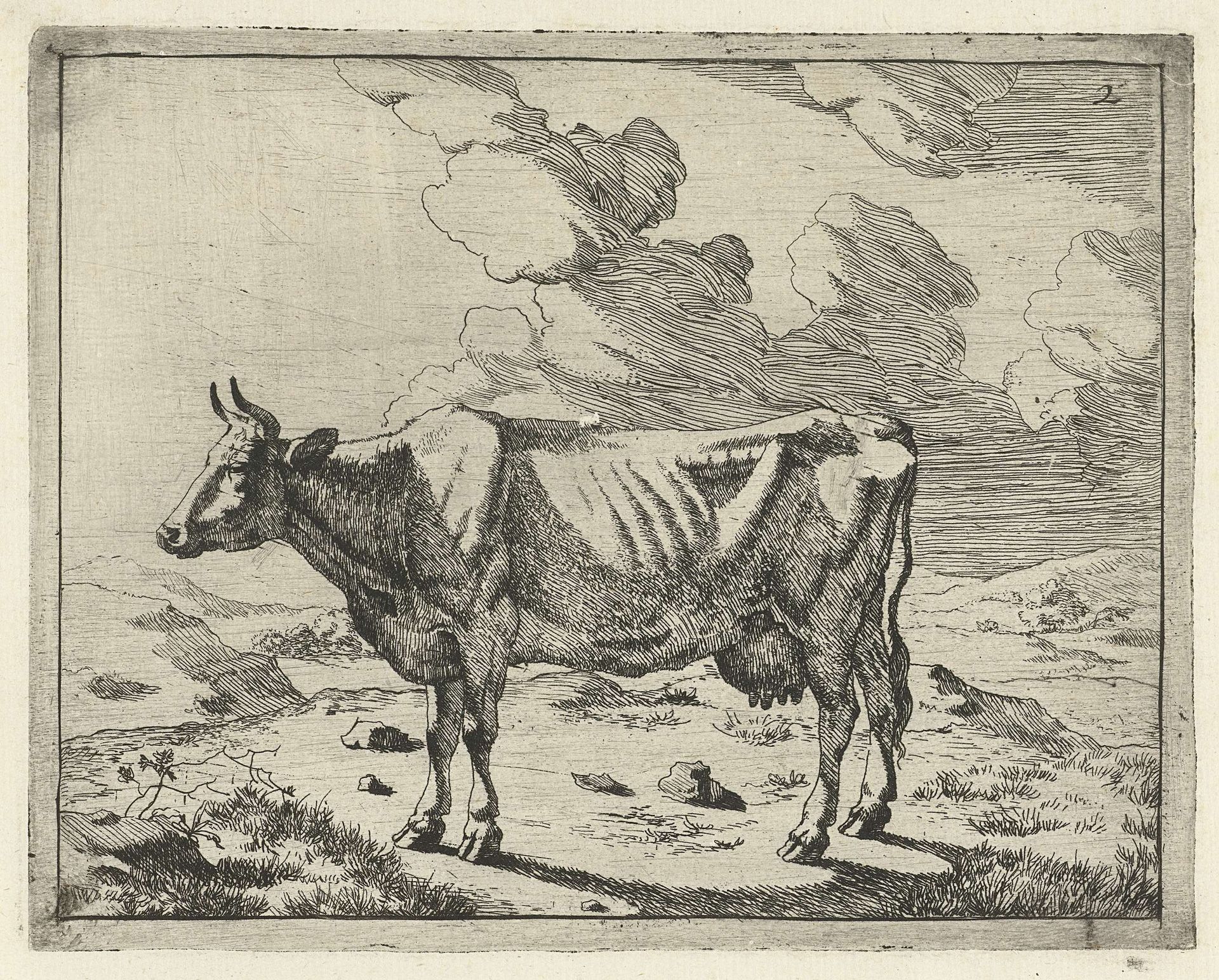 Staande koe bij wolkenlucht by Marcus de Bye