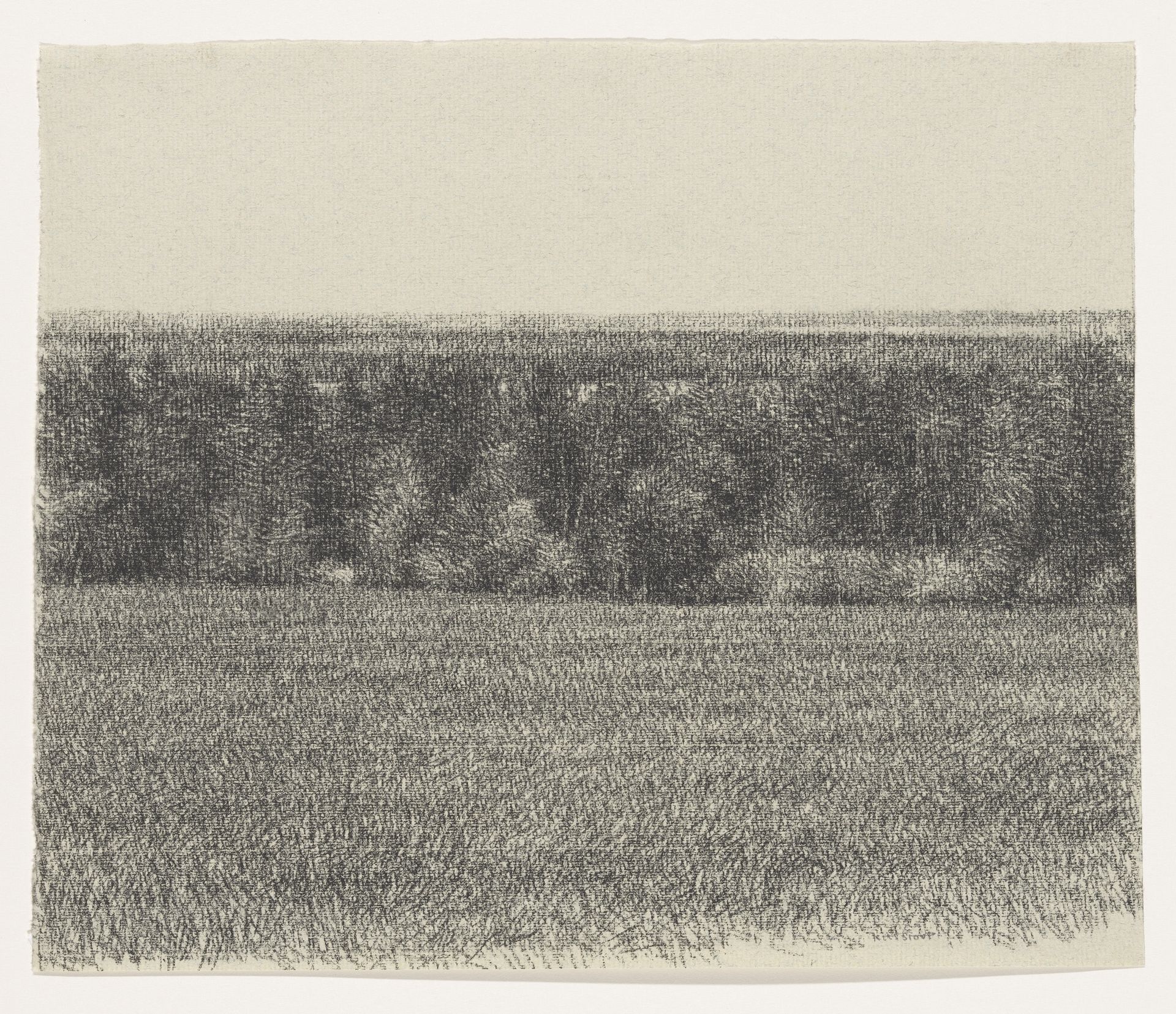 Veld en bosschage by Kees Stoop