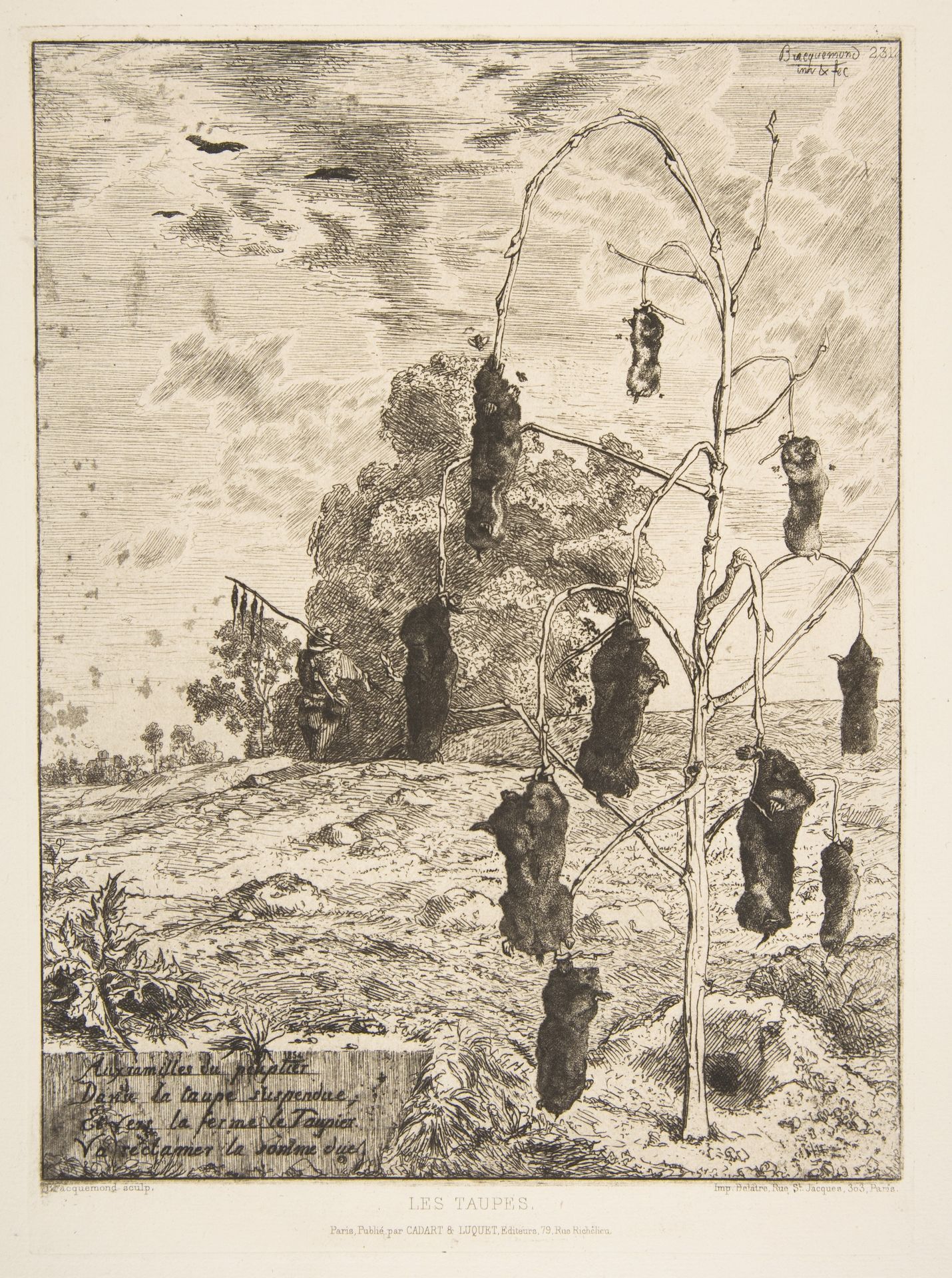Les Taupes by Félix Bracquemond