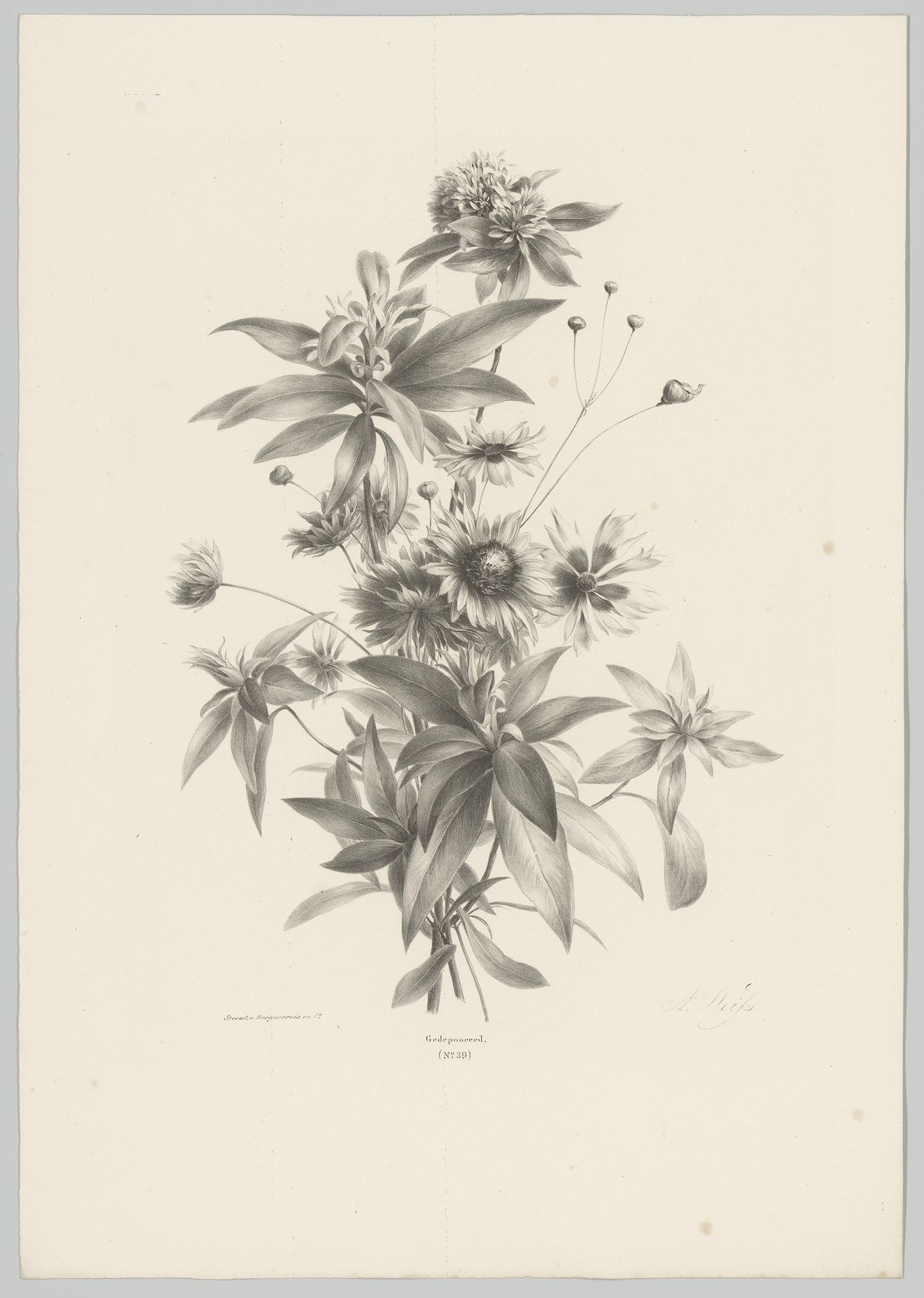 Diverse bloemen by Anton Weiss