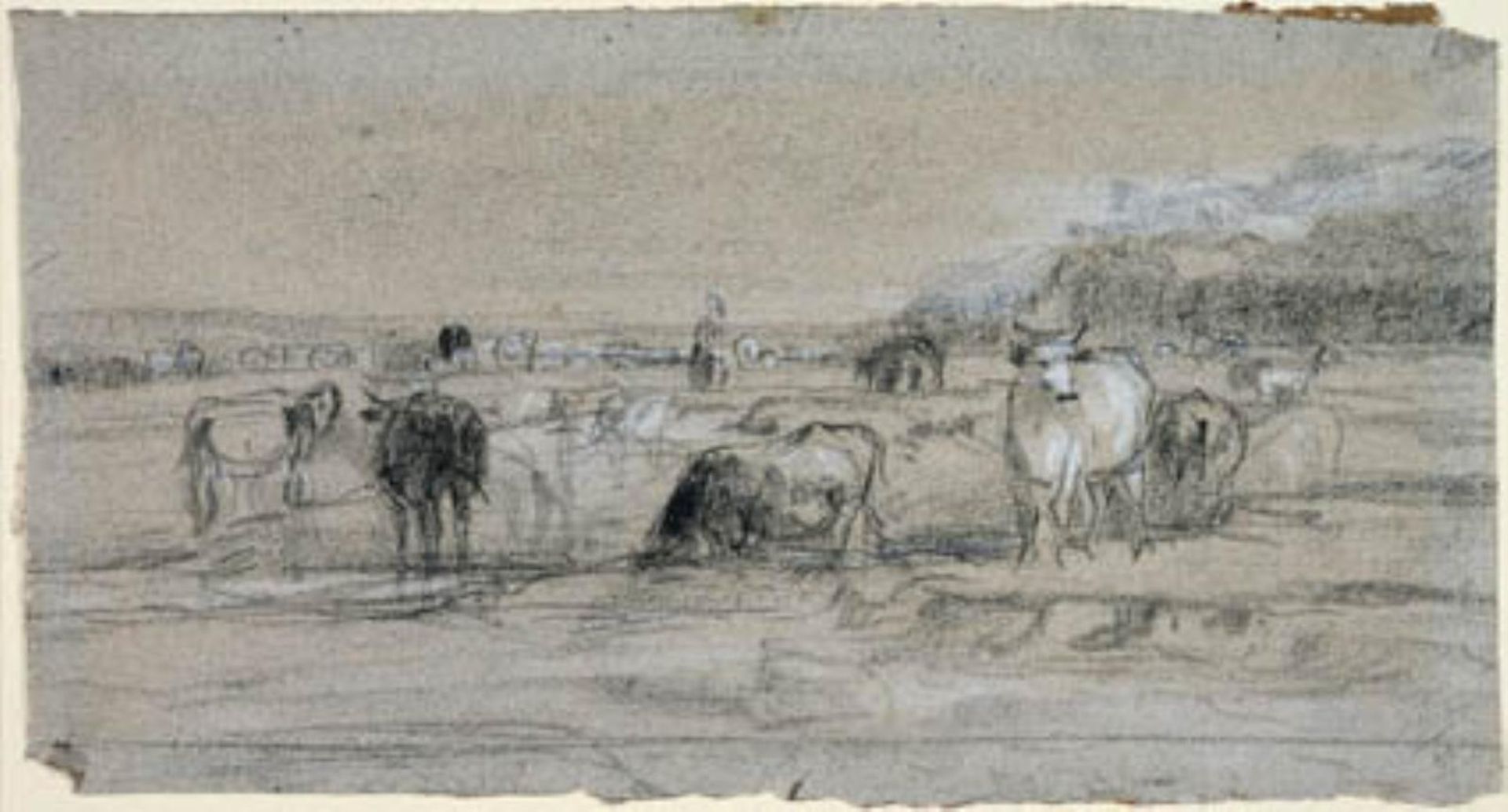 Køer ved et vadested by Constant Troyon