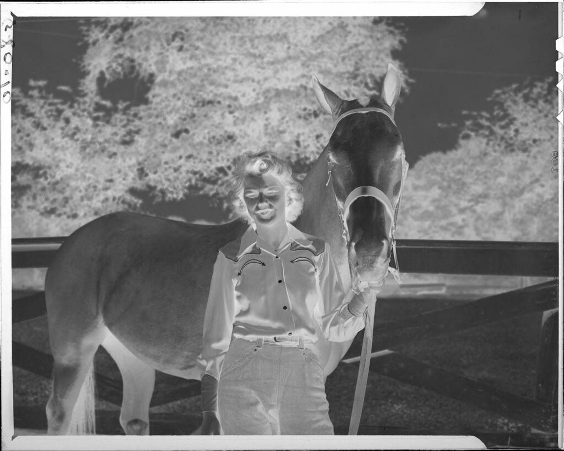 Untitled (woman with horse) by John Howell