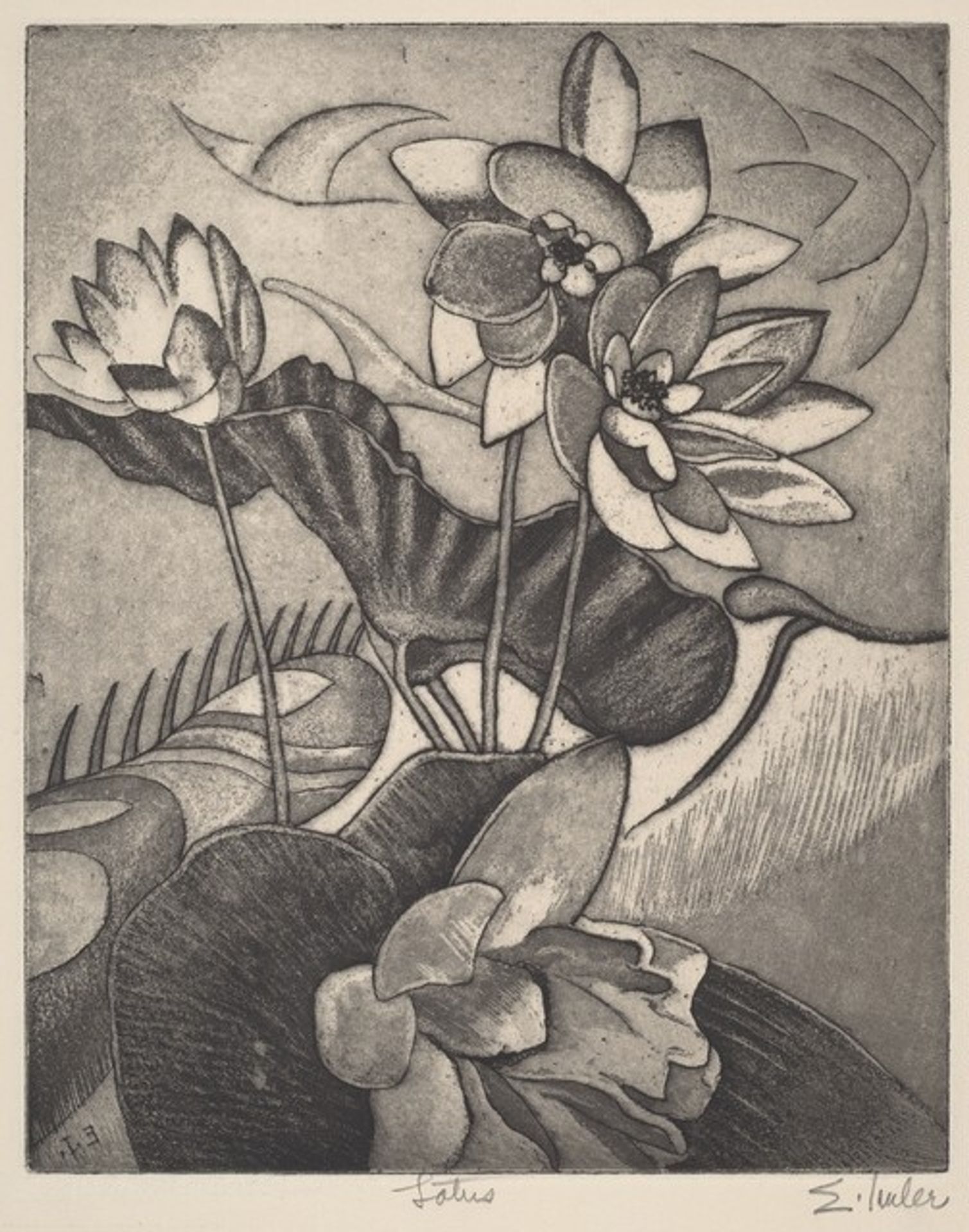 Lotus by Edgar Imler