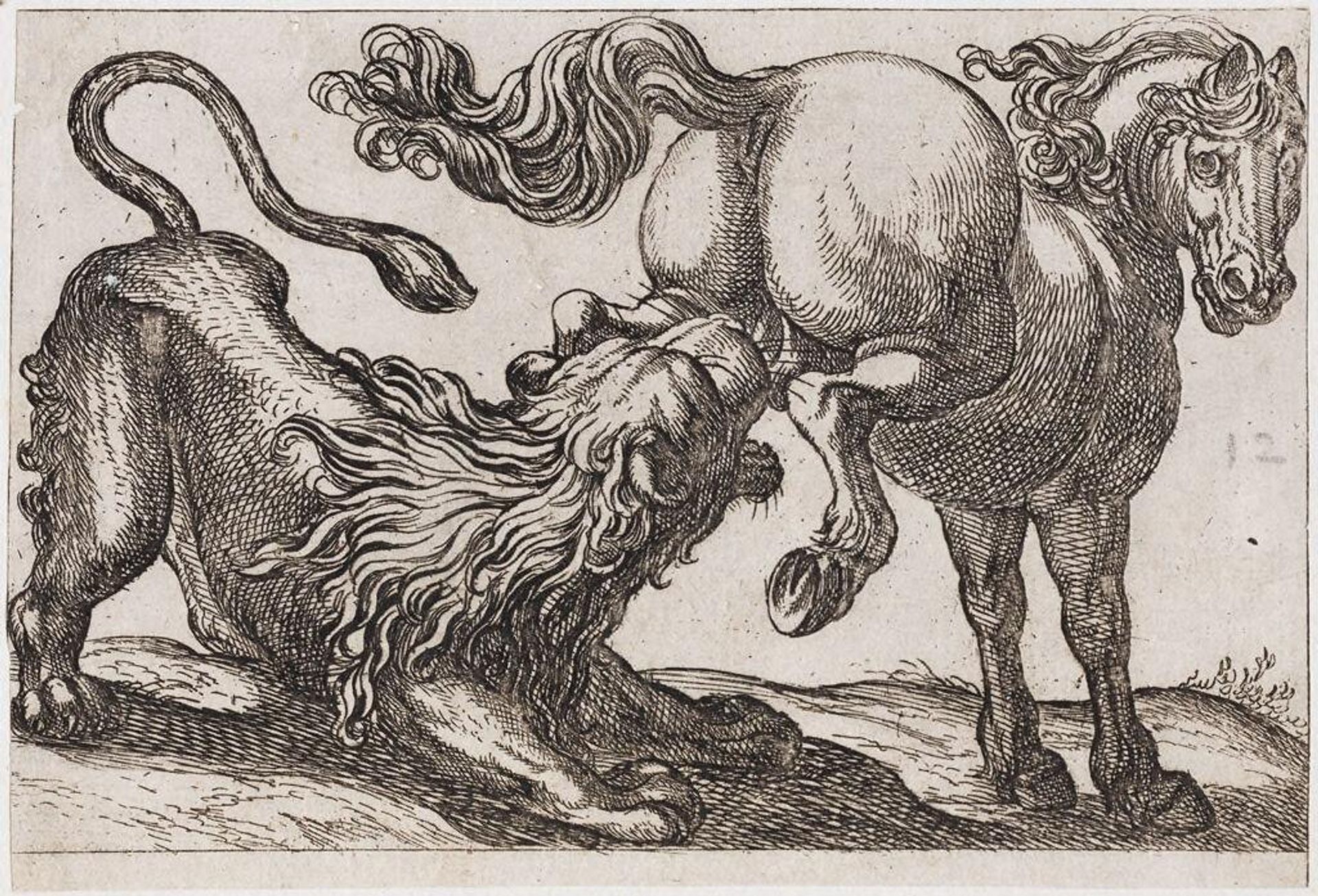 A Horse Kicking a Lion by Antonio Tempesta