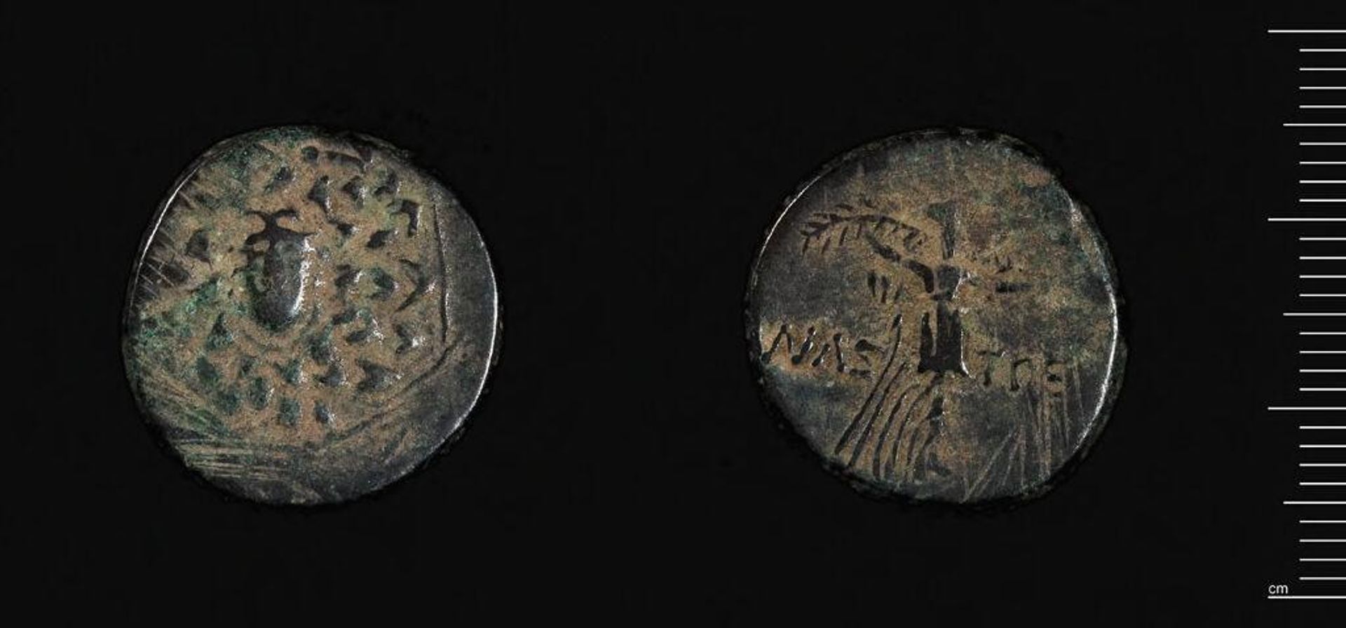 Coin of Mithradates VI, Amastris by Mithradates VI Eupator