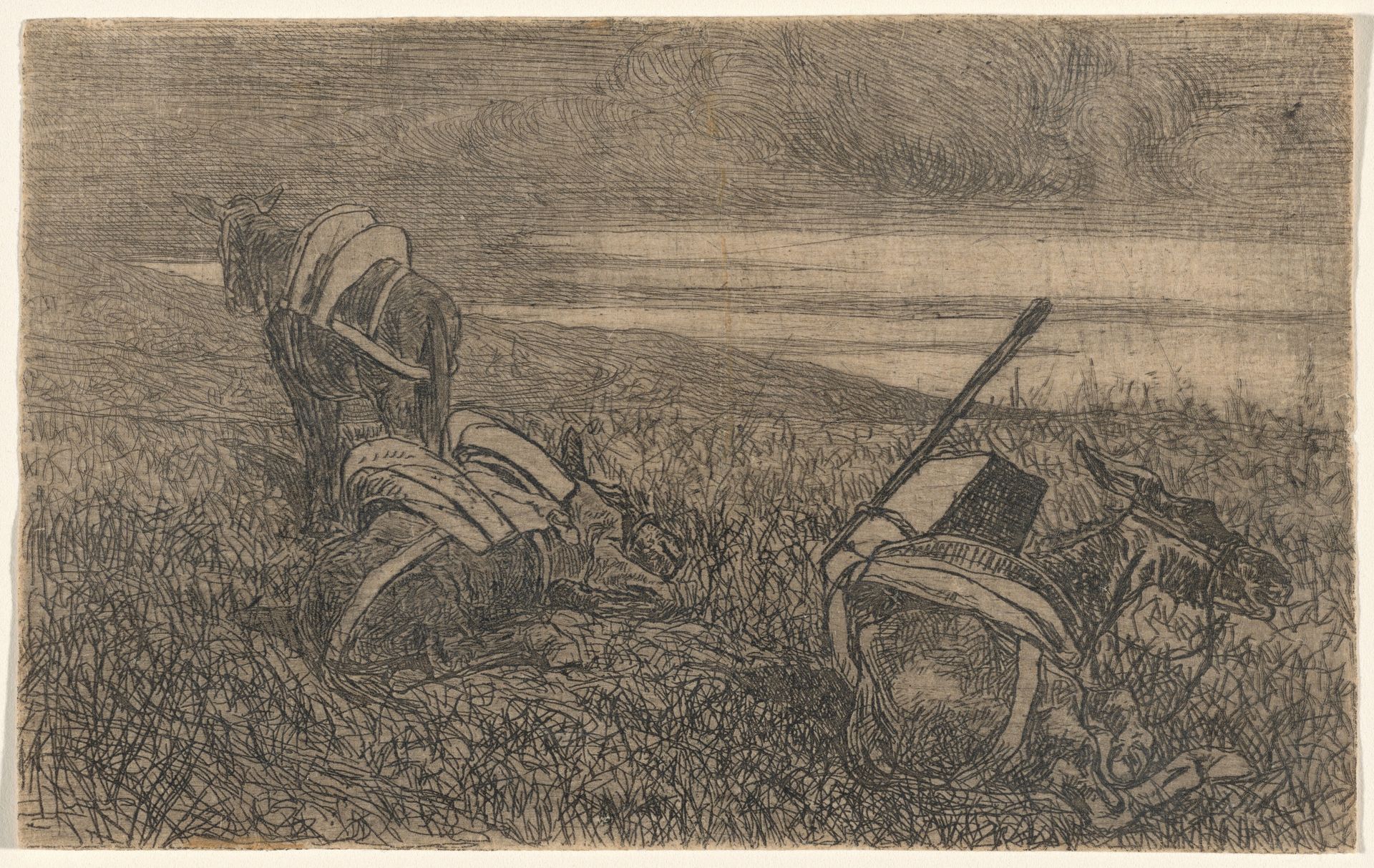 Little Donkeys at Rest (Sosta di somarelli) by Giovanni Fattori