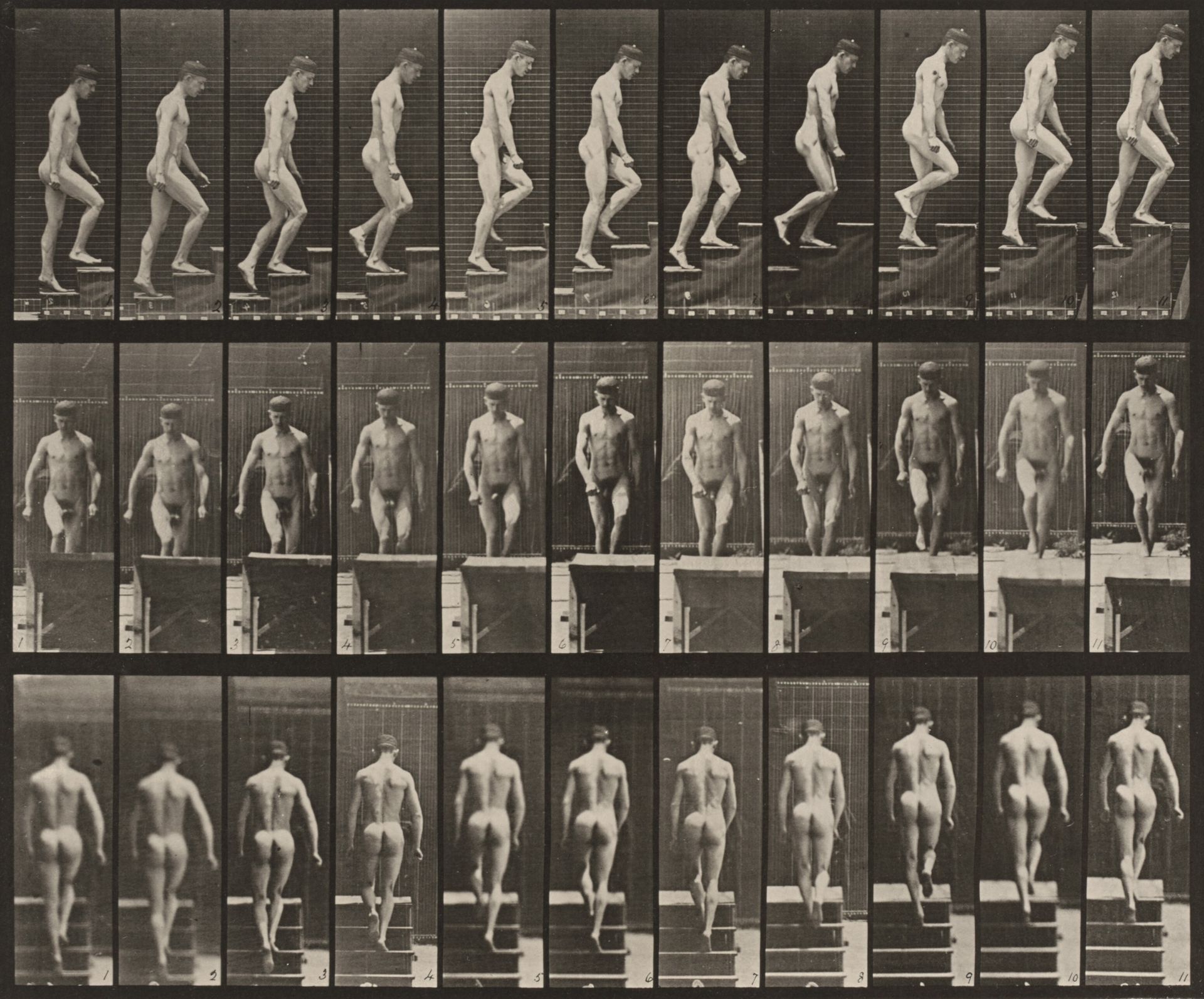 Plate Number 88. Ascending stairs by Eadweard Muybridge