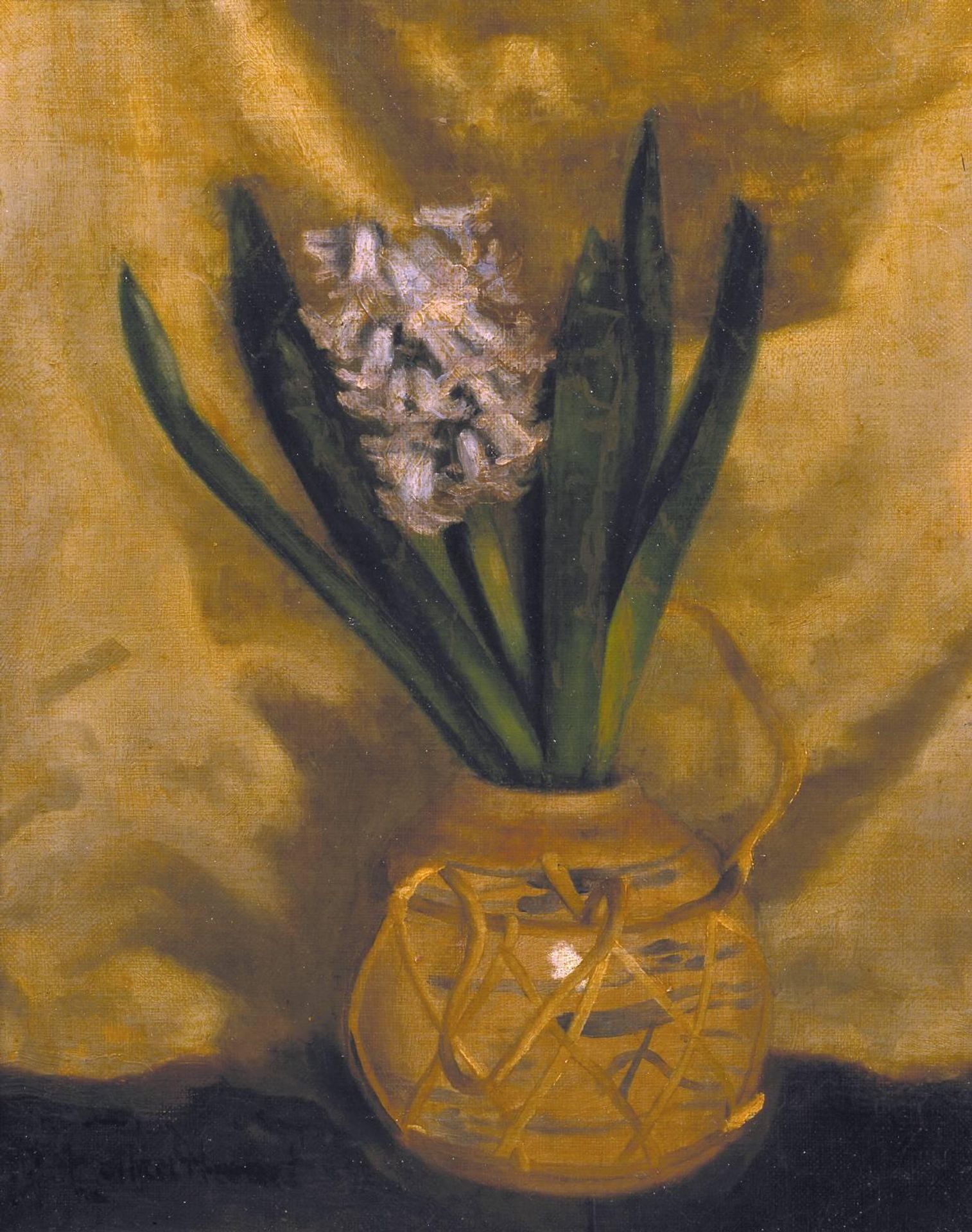 Hyacinth by  Paul Maitland