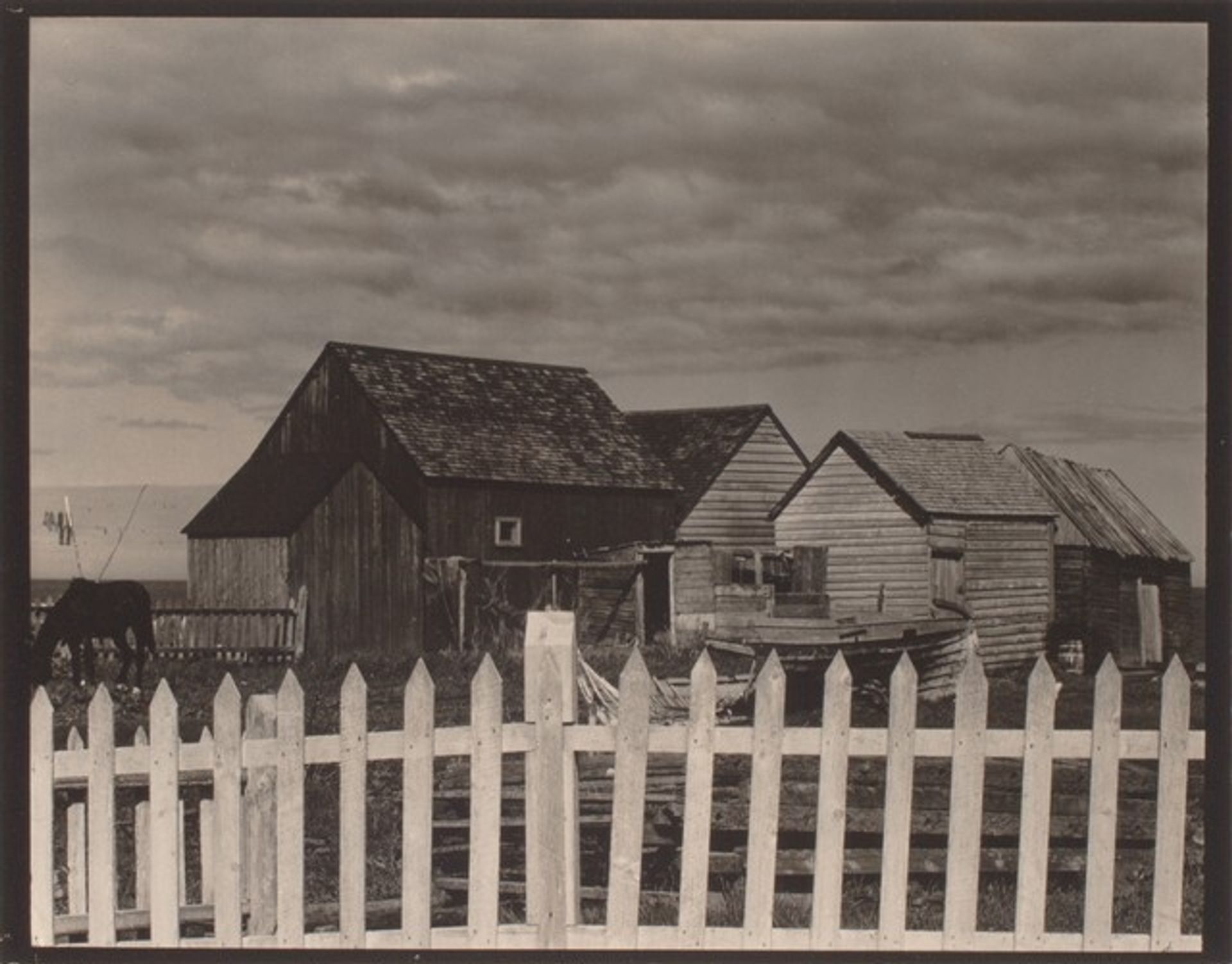 Fence and Houses, Gaspé by Paul Strand