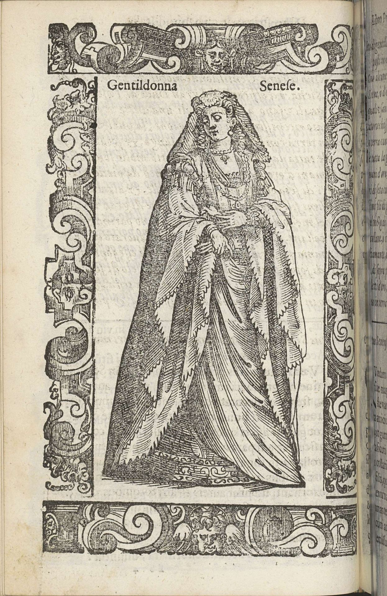 Gentildonna Senese by Christoph Krieger