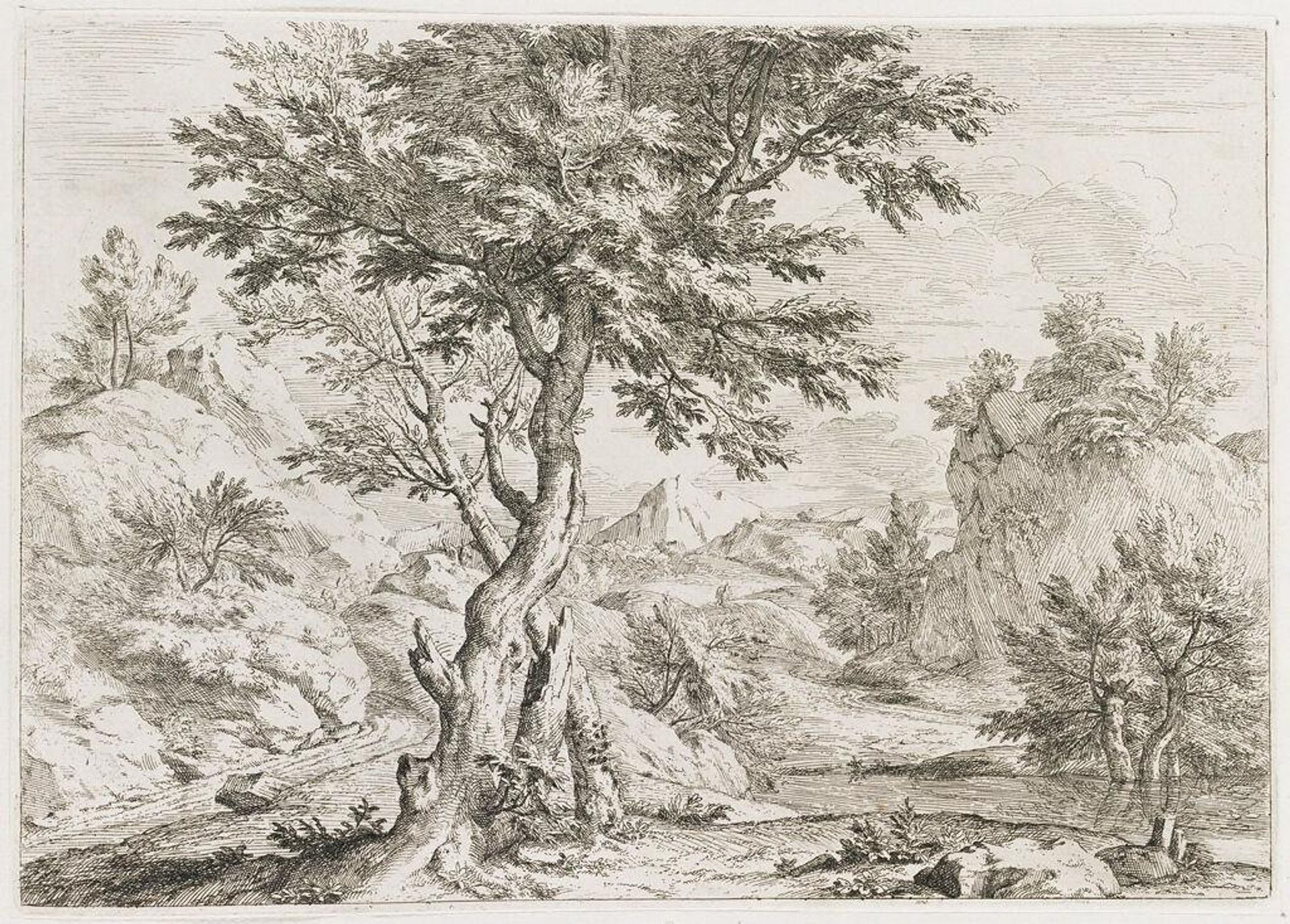 Landscape with Two Trees Crossed by Abraham Genoels