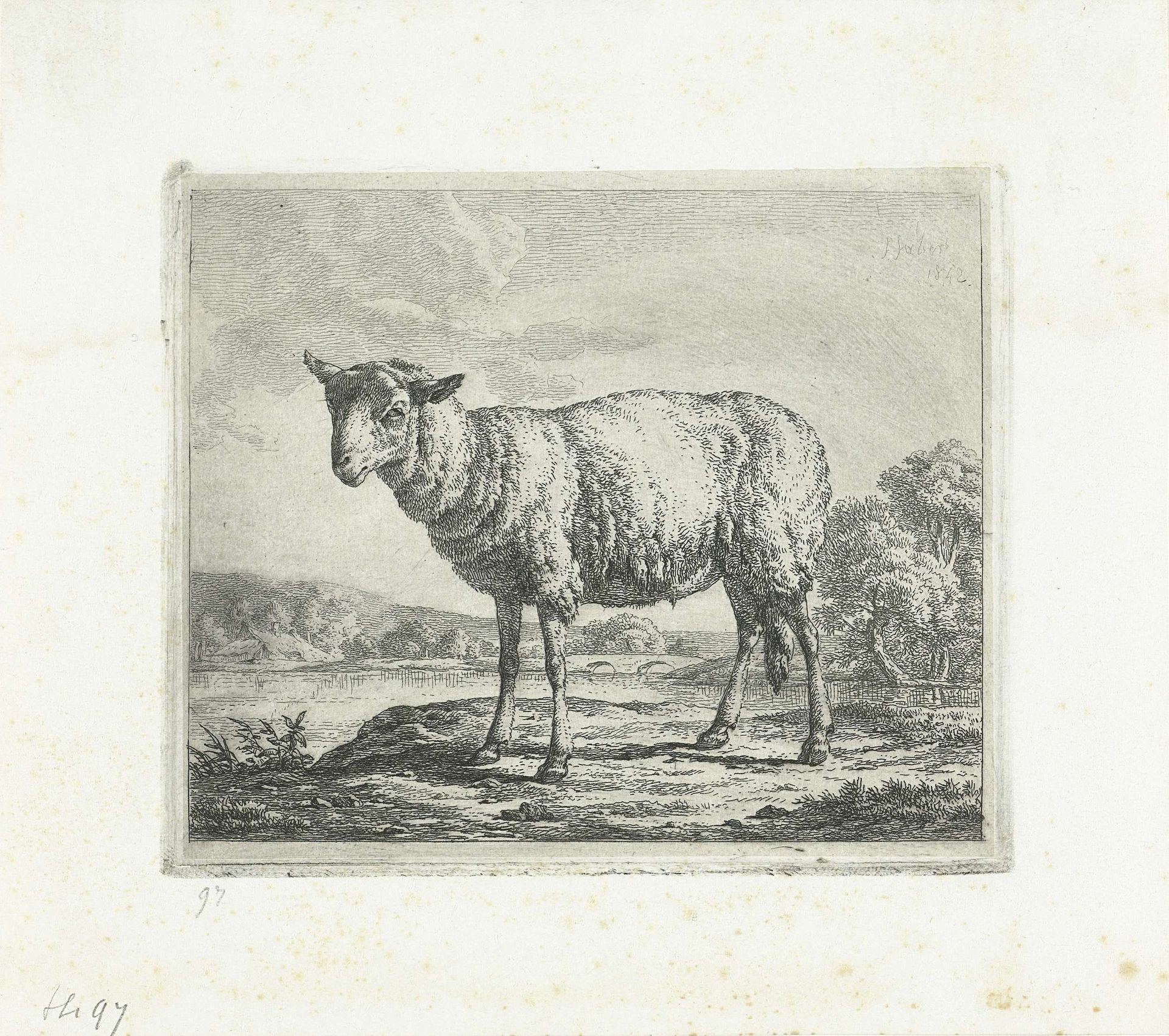 Staand schaap, en profil by Frédéric Théodore Faber