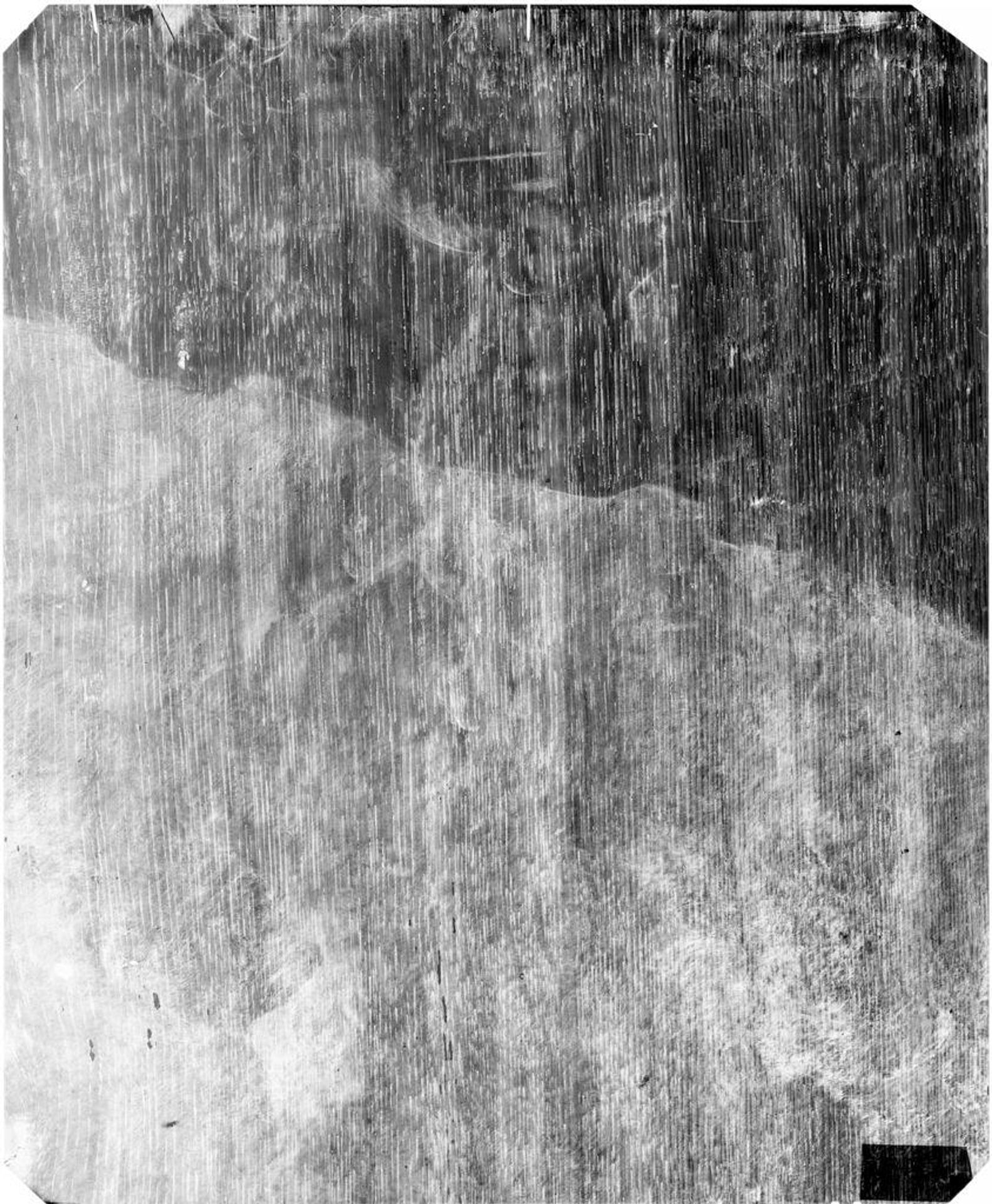 X-radiograph(s) of "A Thistle" by Artist of original: (?) Roelant Roghman