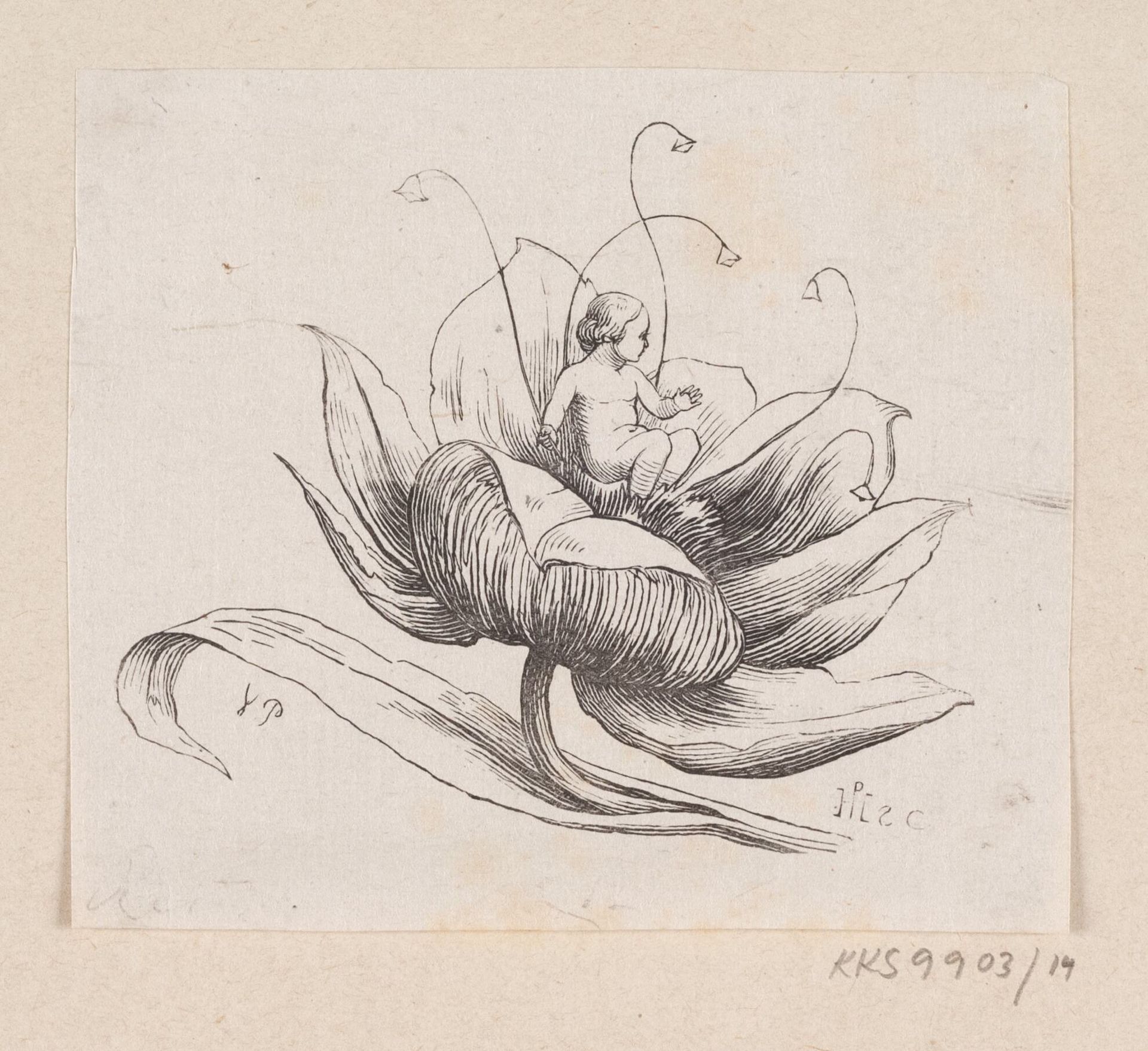 Illustration til "Tommelise" i H.C. Andersen, "Eventyr og Historier", Bind 1 by H.P. Hansen
