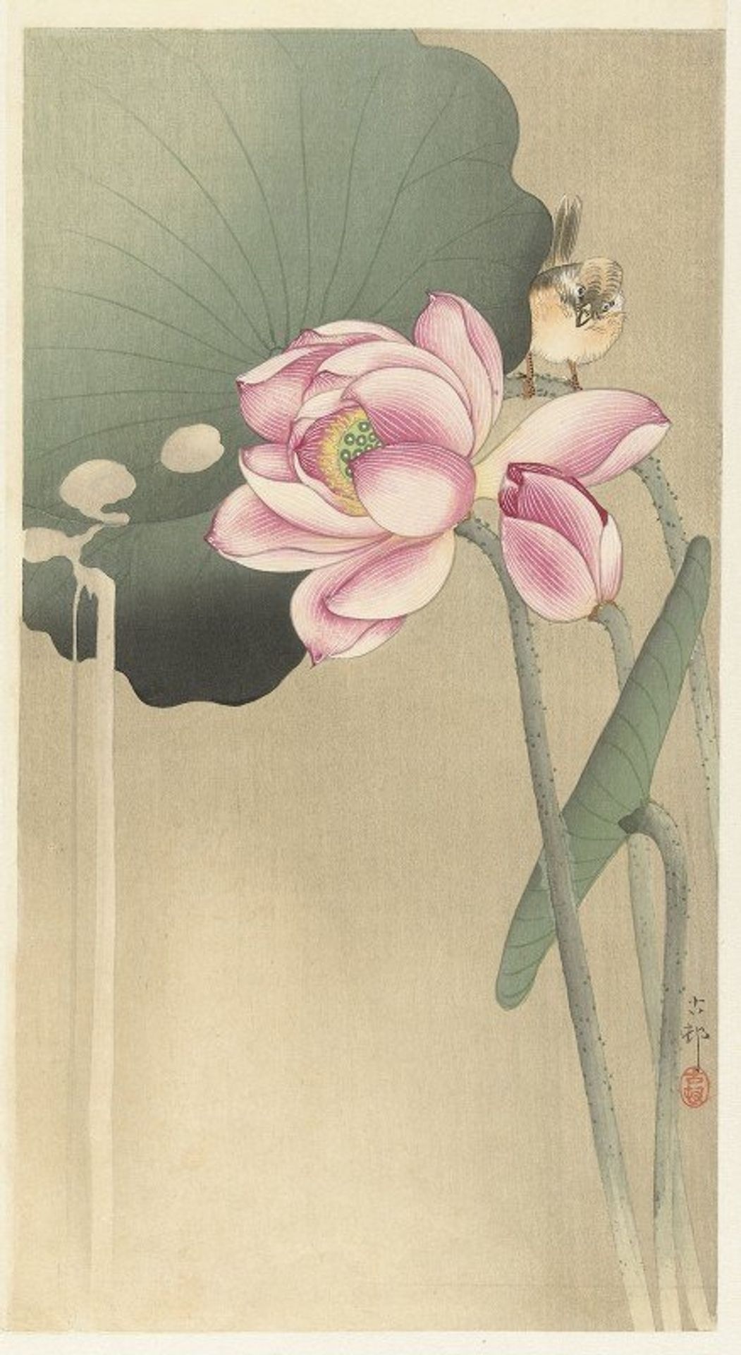 Songbird and Lotus by Ohara Koson