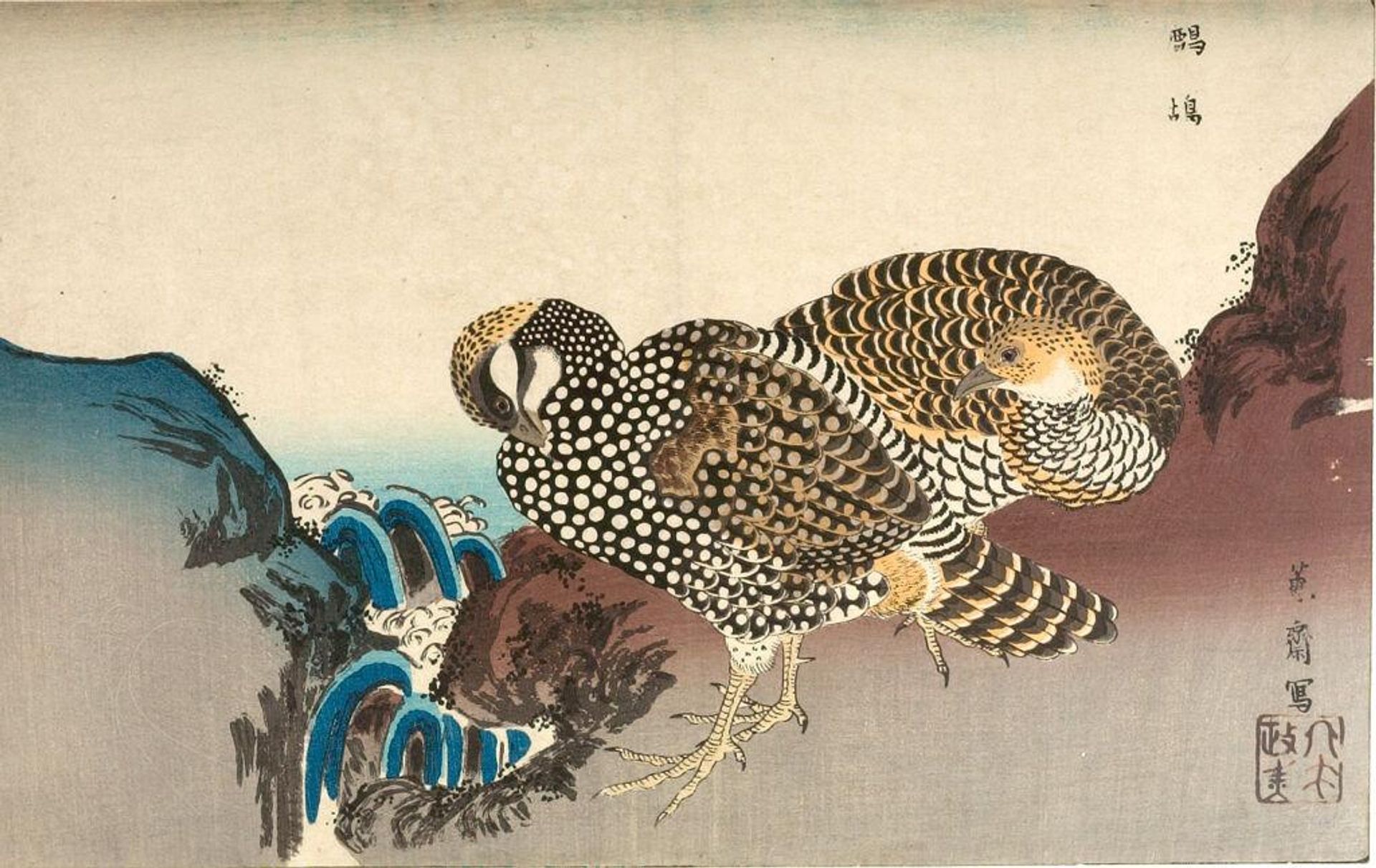 Partridges (Shako) and Rapids, from the album Kaihaku raikin zui (A Compendium of Pictures of Birds Imported from Overseas) by Kitao Masayoshi