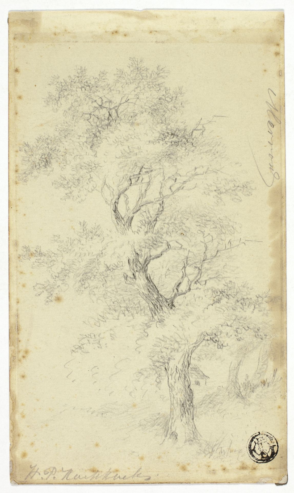 Merron by Hendrik Pieter Koekkoek