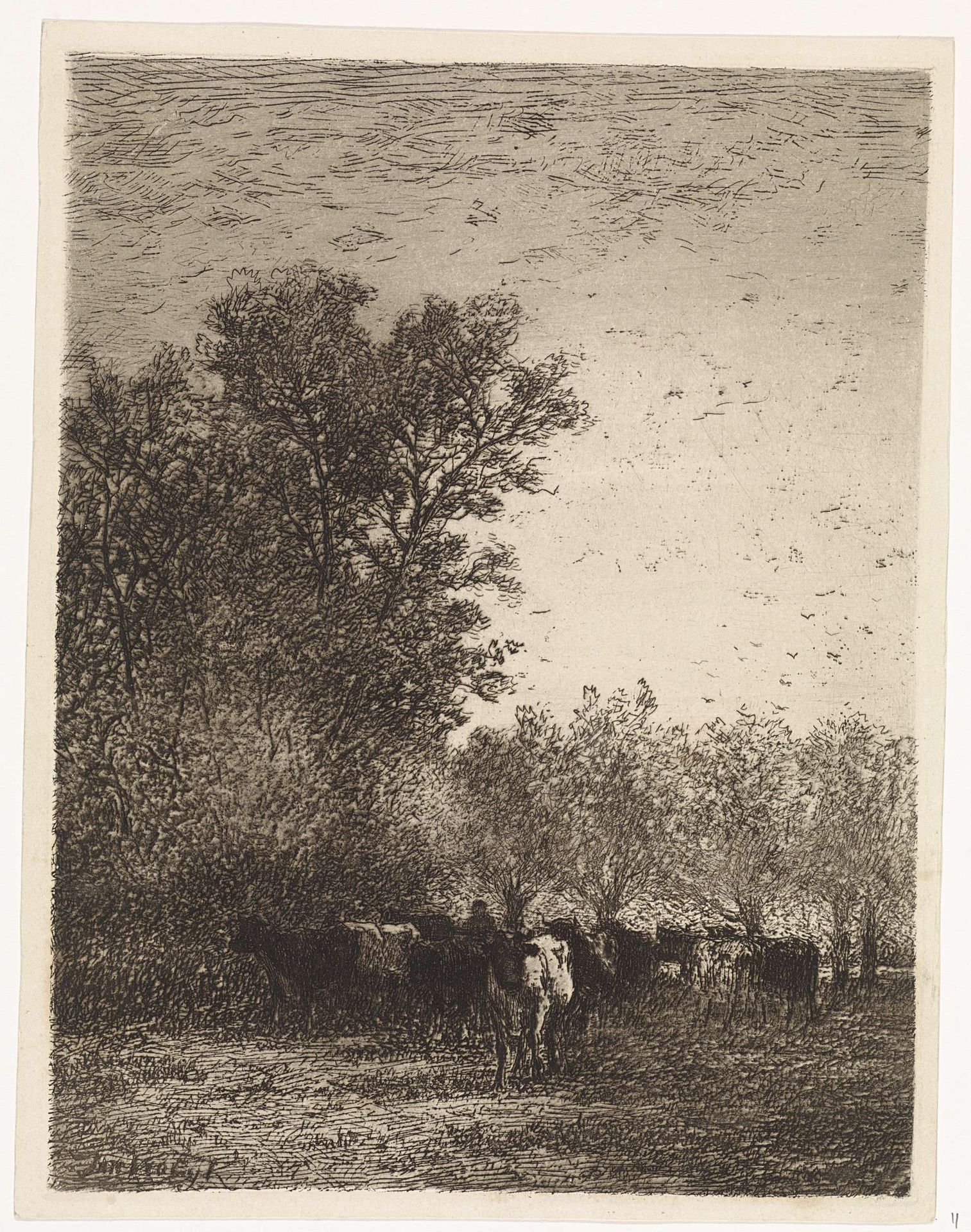 Koeien op een open plek, bij wilgen by Jan Vrolijk